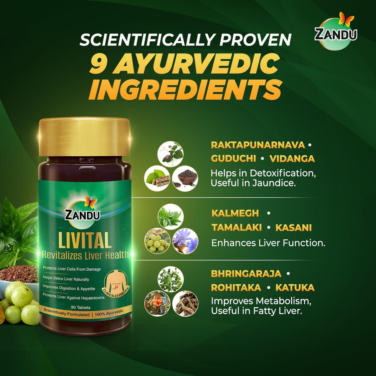 Ayurvedic Zandu Livital Tablets for Liver Protection, Fatty Liver Support, Digestion Aid, and Detoxification - 100% Natural Ingredients
