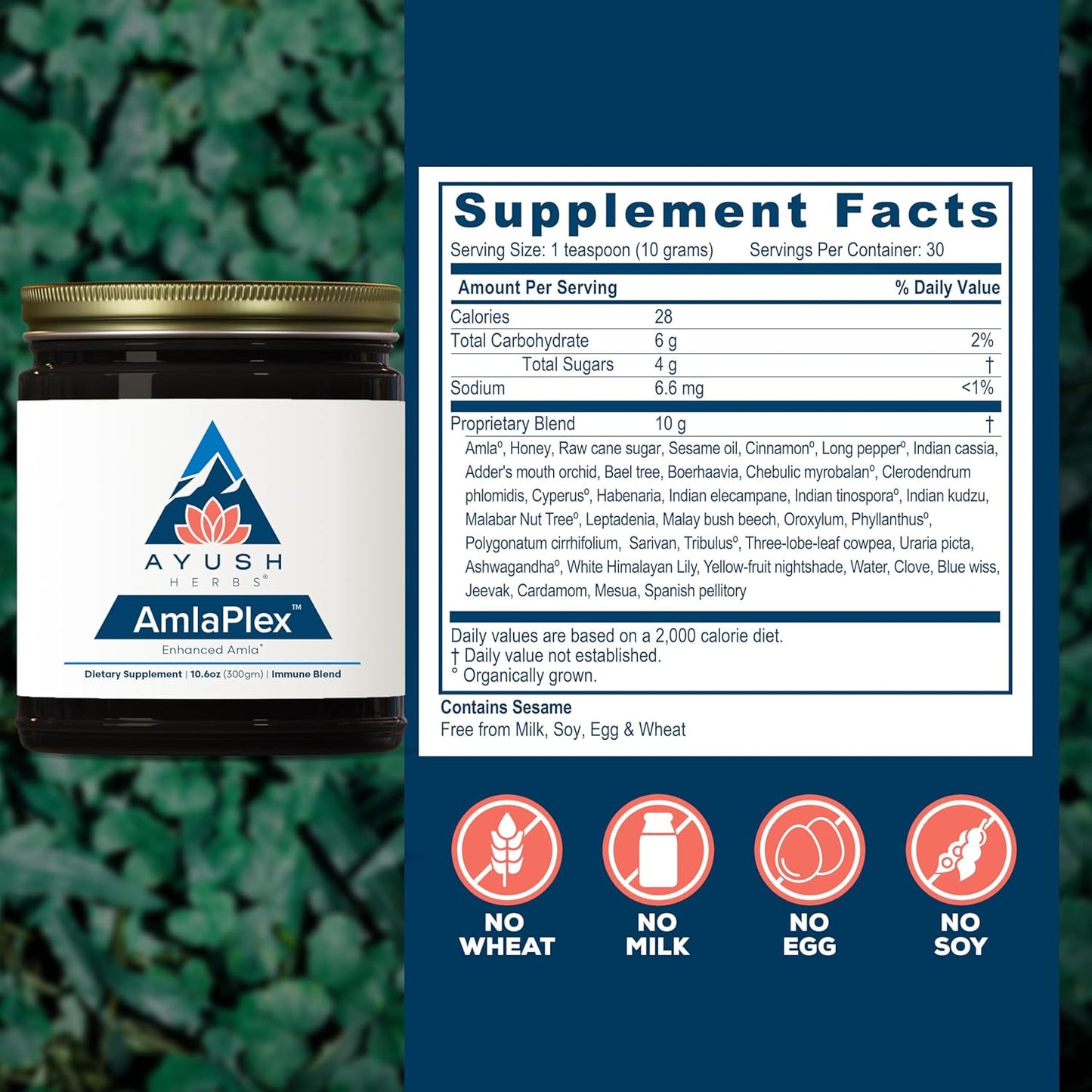 Ayush Herbs AmlaPlex Chyawanprash - Immune Support & Digestive Health, Indian Honey Jam with Ashwagandha - 10.6 oz Jar