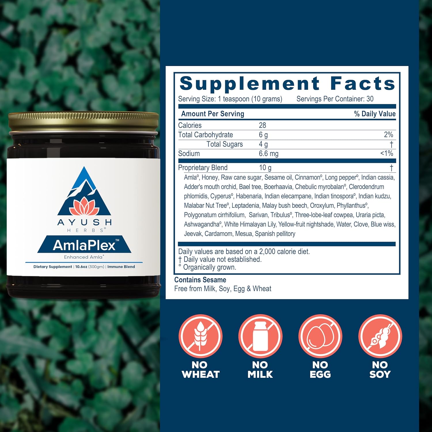 Ayush Herbs AmlaPlex Chyawanprash - Immune Support & Digestive Health, Indian Honey Jam with Ashwagandha - 10.6 oz Jar