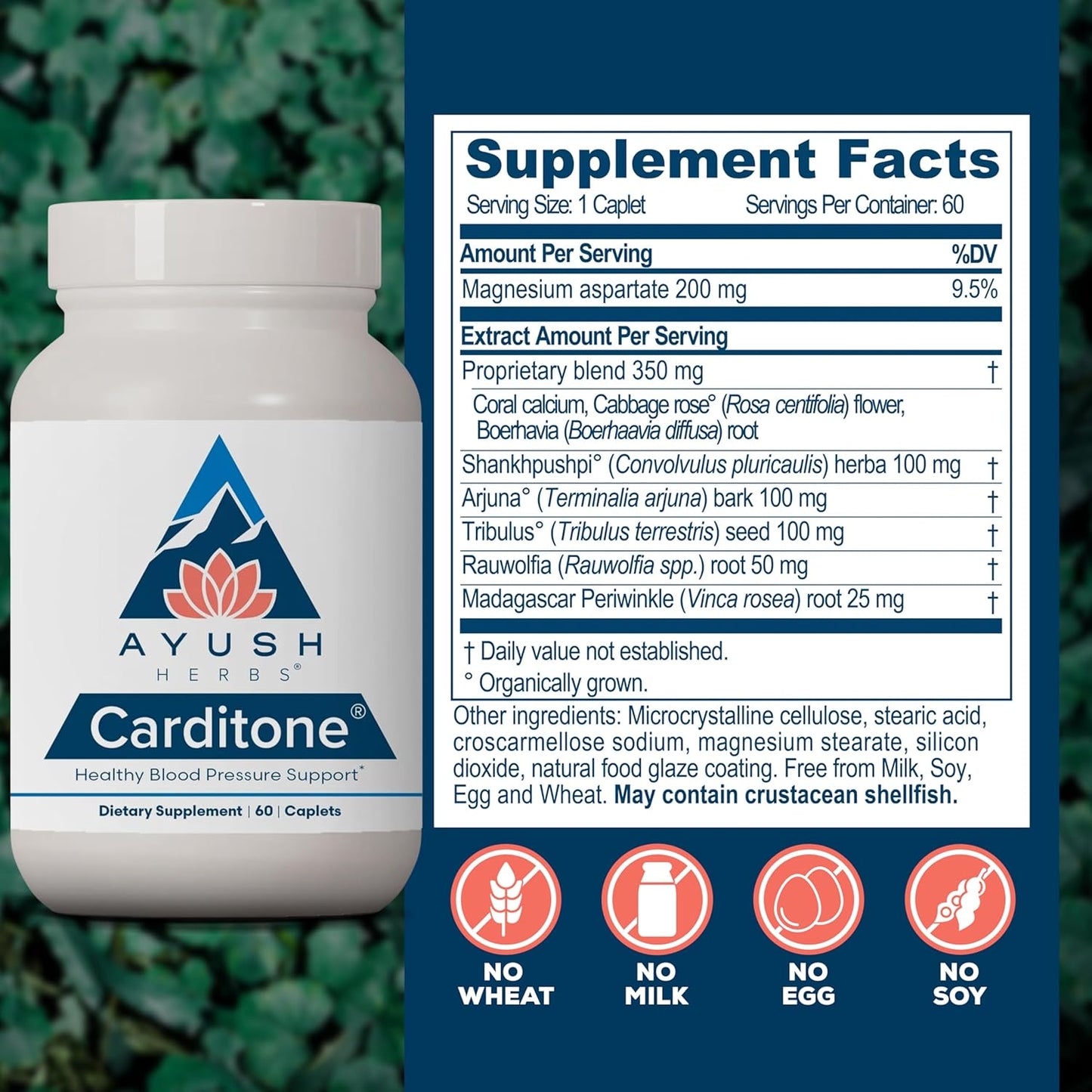Ayush Herbs Carditone Caplets - 120 Count, Pack of Two