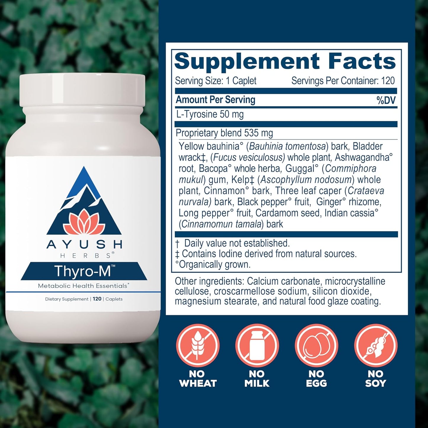 Ayush Herbs Thyro-M: Natural Thyroid Support Capsules for Men and Women with L Tyrosine, Ashwagandha, and Kelp - 120 Vegetarian Capsules