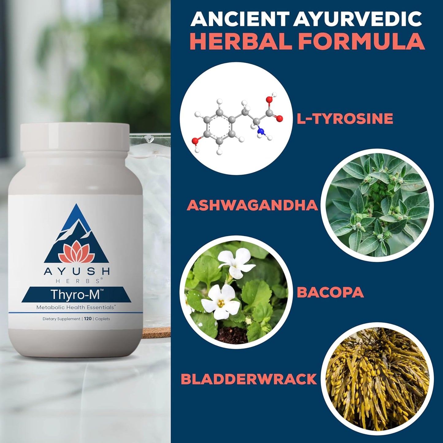 Ayush Herbs Thyro-M: Natural Thyroid Support Capsules for Men and Women with L Tyrosine, Ashwagandha, and Kelp - 120 Vegetarian Capsules