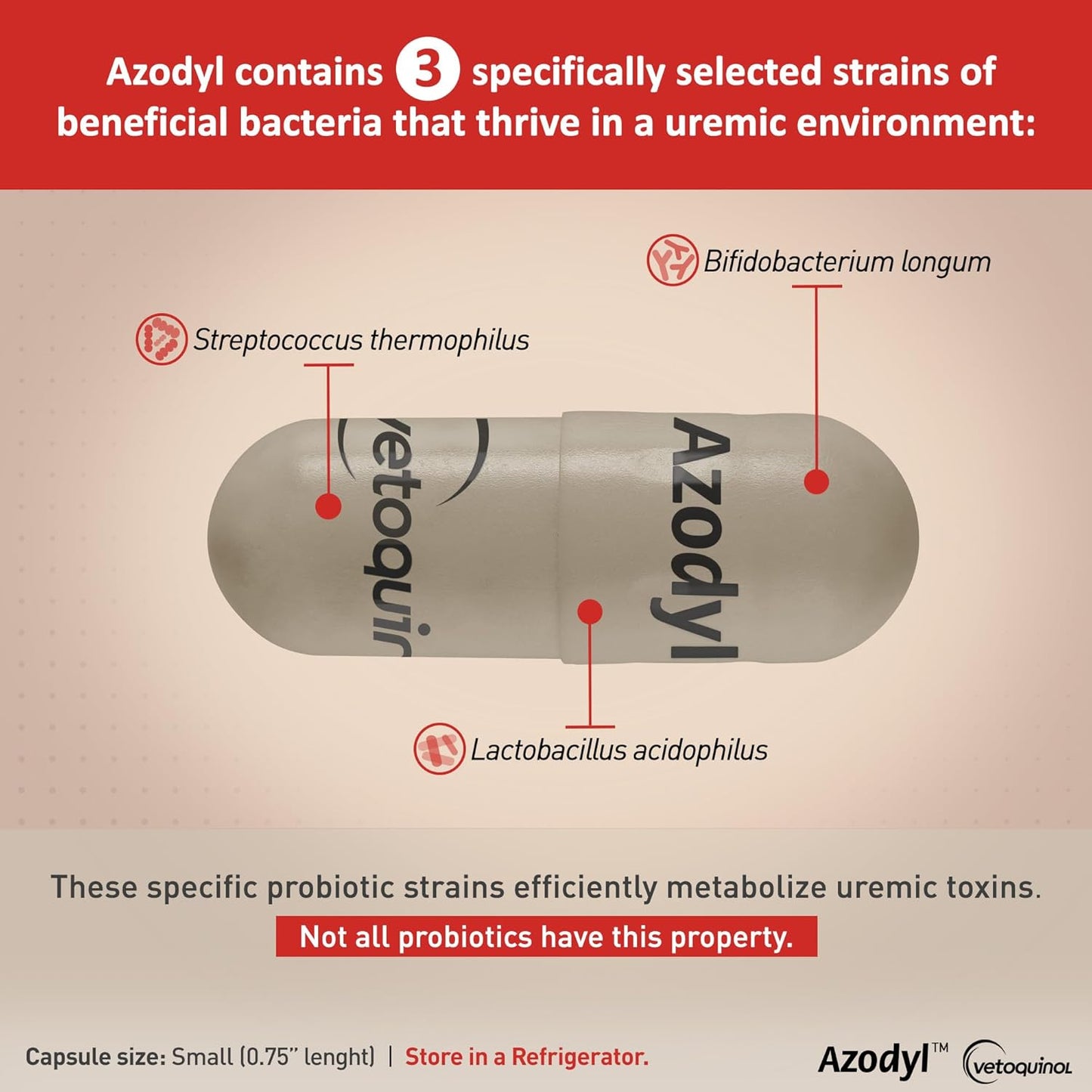 Azodyl Kidney Health Supplement for Dogs & Cats - 90ct Probiotic Pet Wellbeing - Support Kidney Function & Manage Renal Toxins - Renal Care Supplement - Easy-to-Swallow Capsules - BoostGo Australia