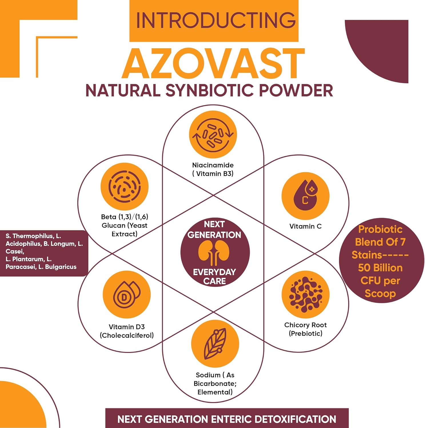 Azovast Kidney Health Powder for Dogs & Cats (4 Oz) - Supports Kidney Function & Manages Renal Toxins - No Refrigeration Needed - Made in USA