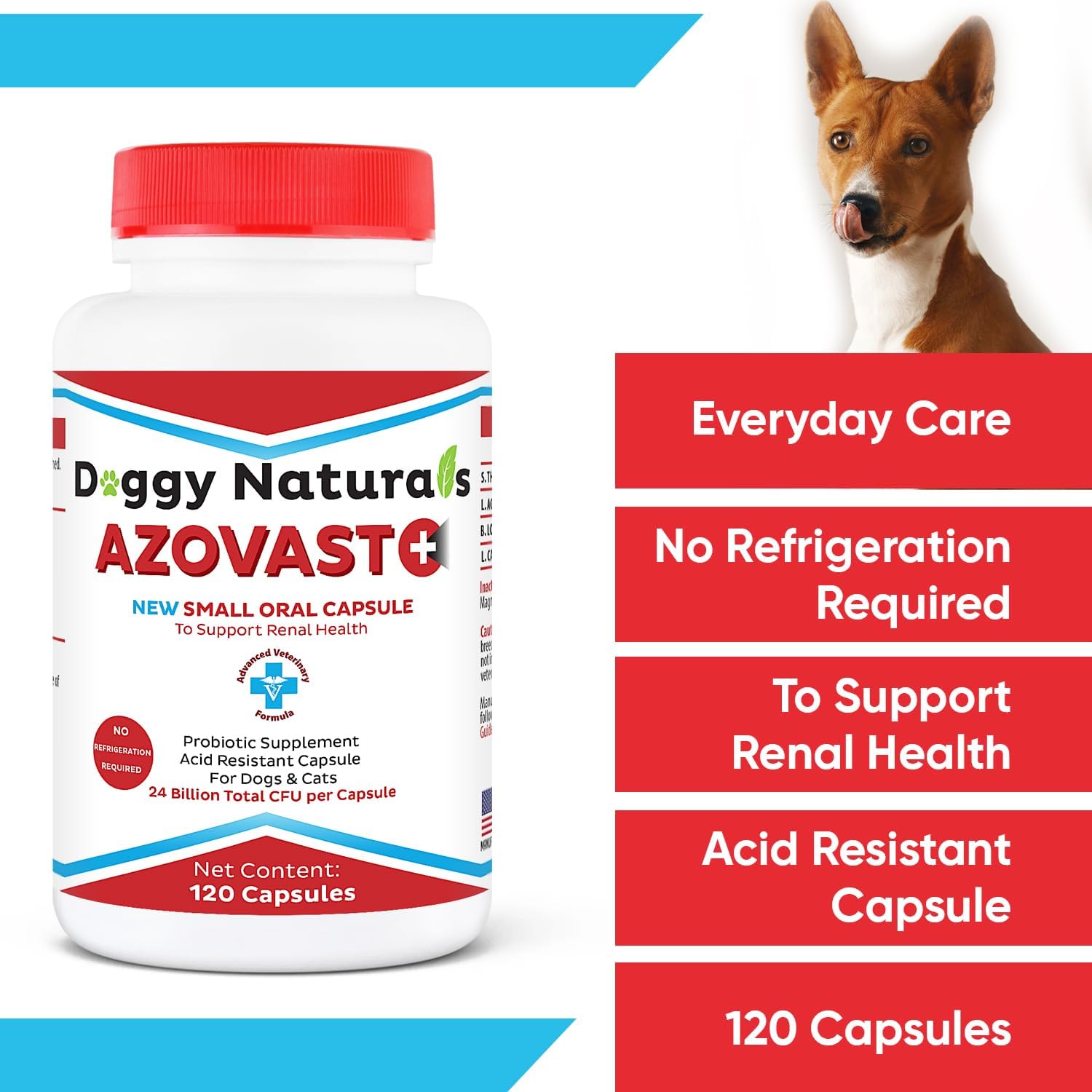 Azovast Plus Kidney Health Supplement for Dogs & Cats, 720 Capsules - Support Kidney Function & Manage Renal Toxins - No Refrigeration Needed - Renal Care Pharma Supplement