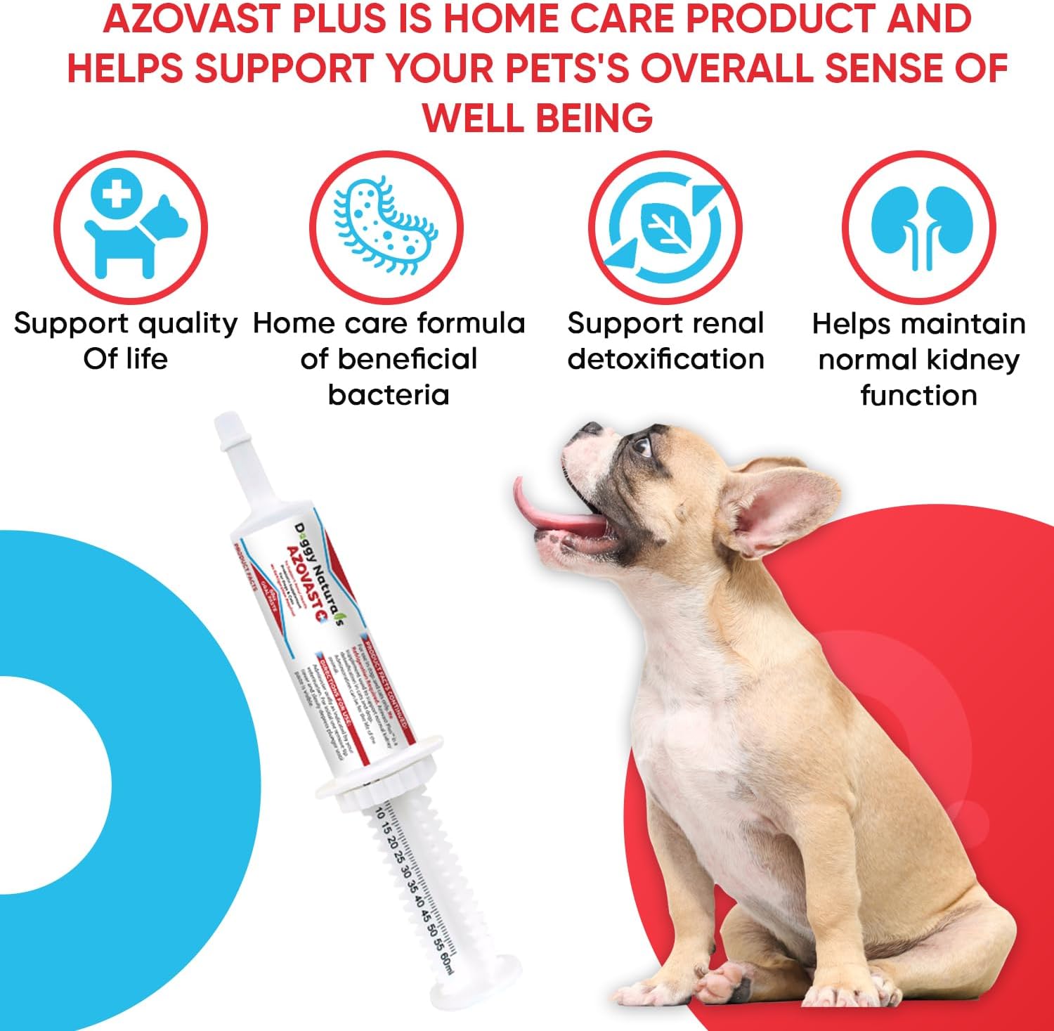 Azovast Plus Kidney Health Supplement for Dogs & Cats, Oral Paste (60 cc) - Supports Kidney Function, Manages Renal Toxins - Chicken Flavor - Made in U.S.A.
