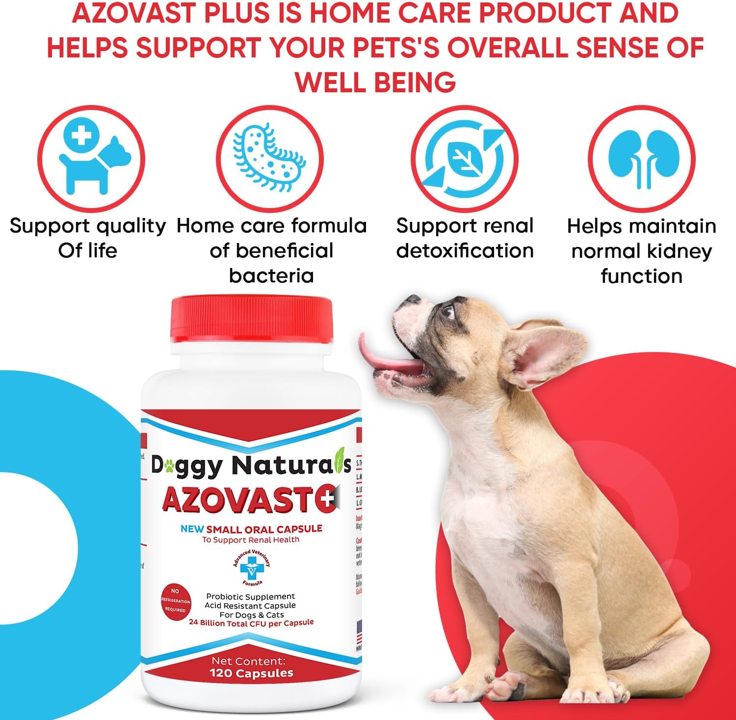 Azovast Plus Kidney Health Supplement for Dogs & Cats, 720 Capsules - Support Kidney Function & Manage Renal Toxins - No Refrigeration Needed - Renal Care Pharma Supplement
