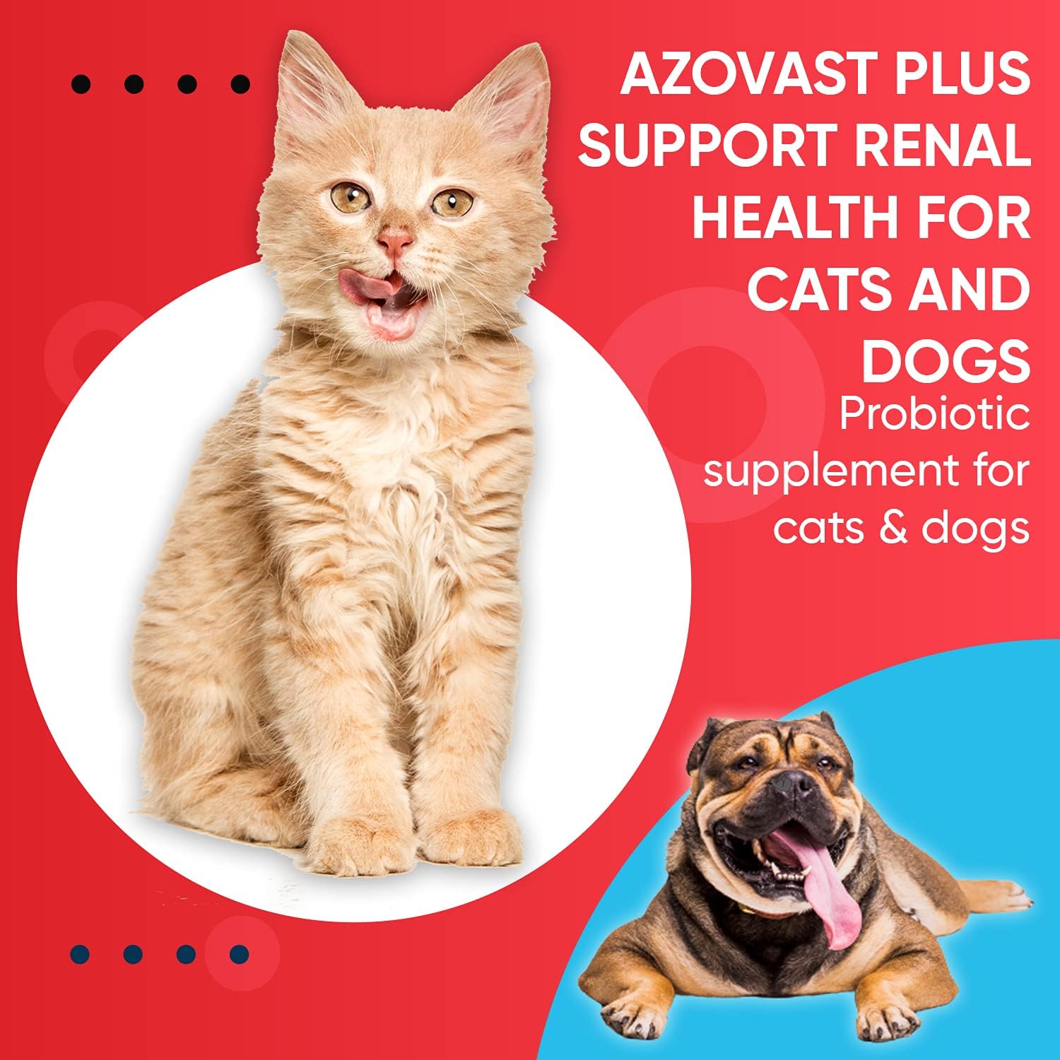 Azovast Plus Kidney Health Supplement for Dogs & Cats, Oral Paste (60 cc) - Supports Kidney Function, Manages Renal Toxins - Chicken Flavor - Made in U.S.A.