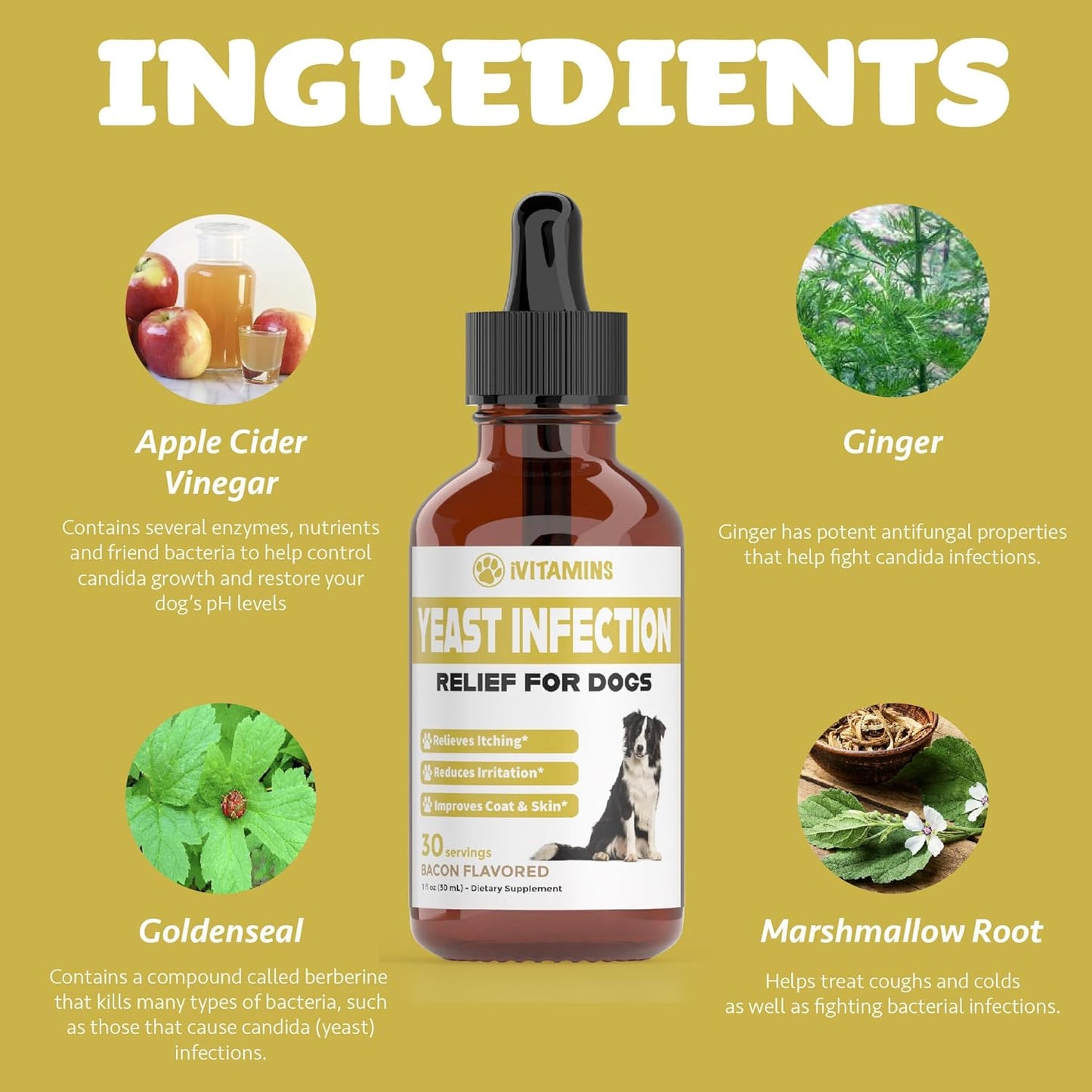 Bacon-Flavored Dog Yeast Infection Treatment for Itch Relief & Ear Health | Natural Dog Ear Infection Relief & Itch Support