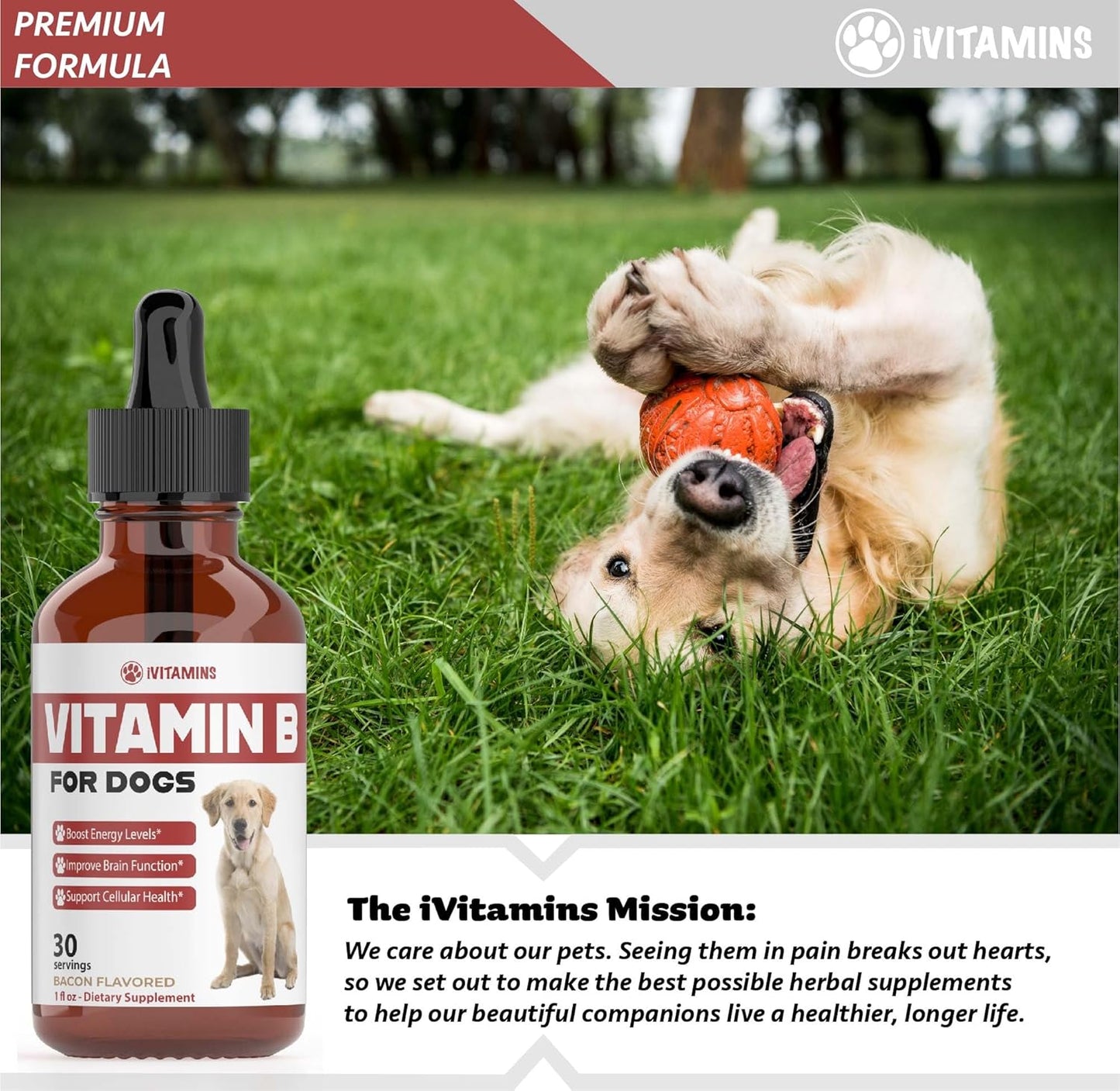 Bacon Flavored Vitamin B Complex Supplement for Dogs - 1 fl oz