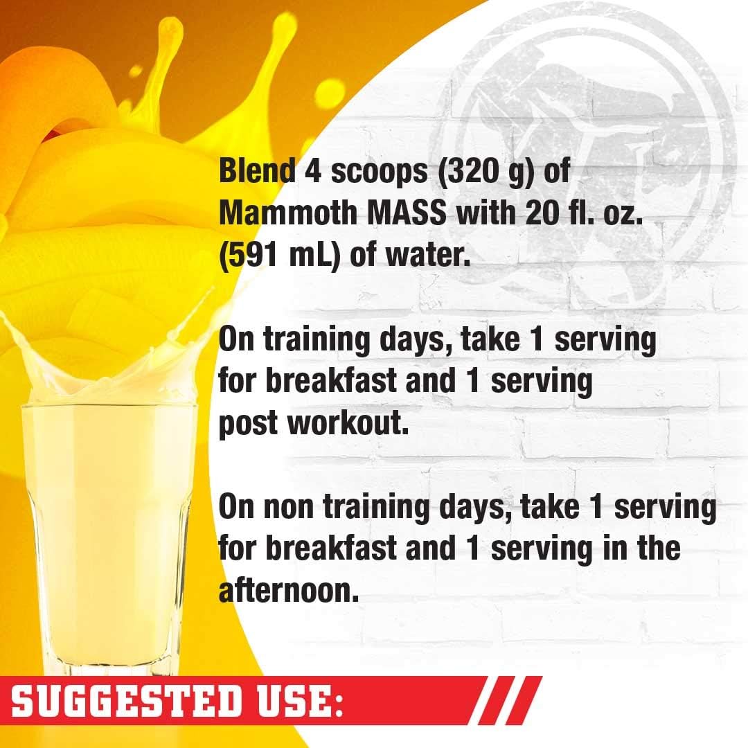 Banana Mammoth Mass: High Calorie Protein Powder for Weight Gain, Meal Replacement Shake with Low Sugar, Whey Isolate & Casein Protein for Weight Training (15lb)