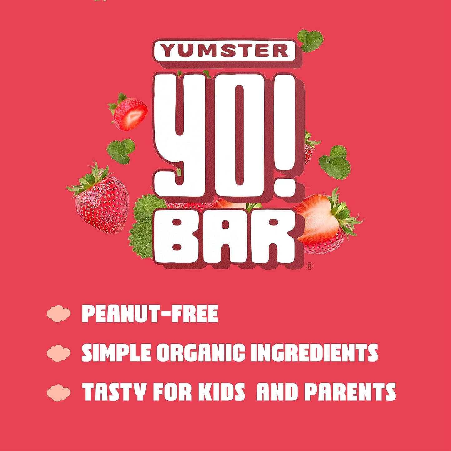 Bearded Brothers Vegan Organic Kids Bar, Strawberry (25 Bars) - Gluten Free, Paleo, Whole 30 | Soy Free, Non-GMO, Low Glycemic, No Sugar Added