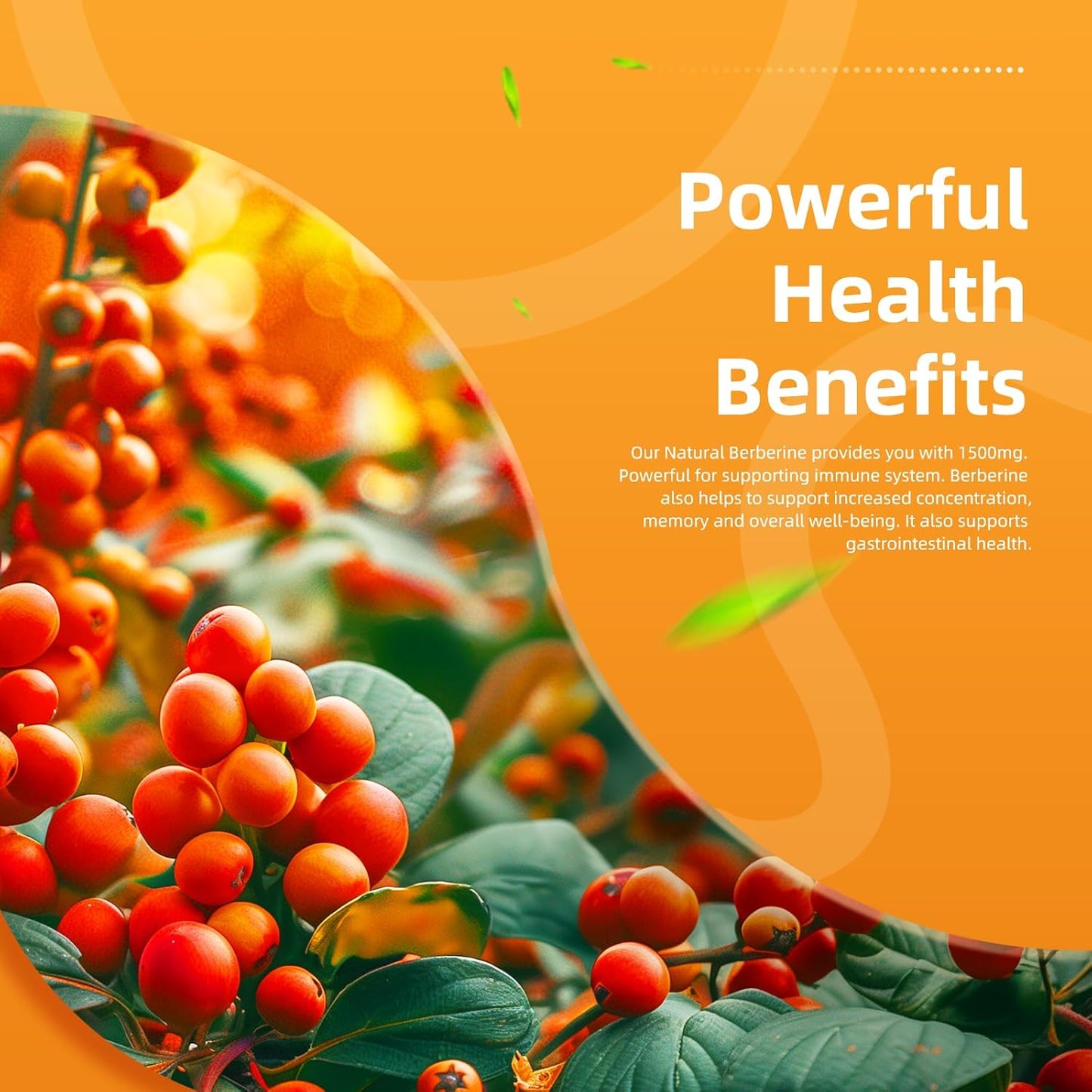 Berberine 1500mg Capsules with True Ceylon Cinnamon - 120 Count - Berberine HCI Root Supplement