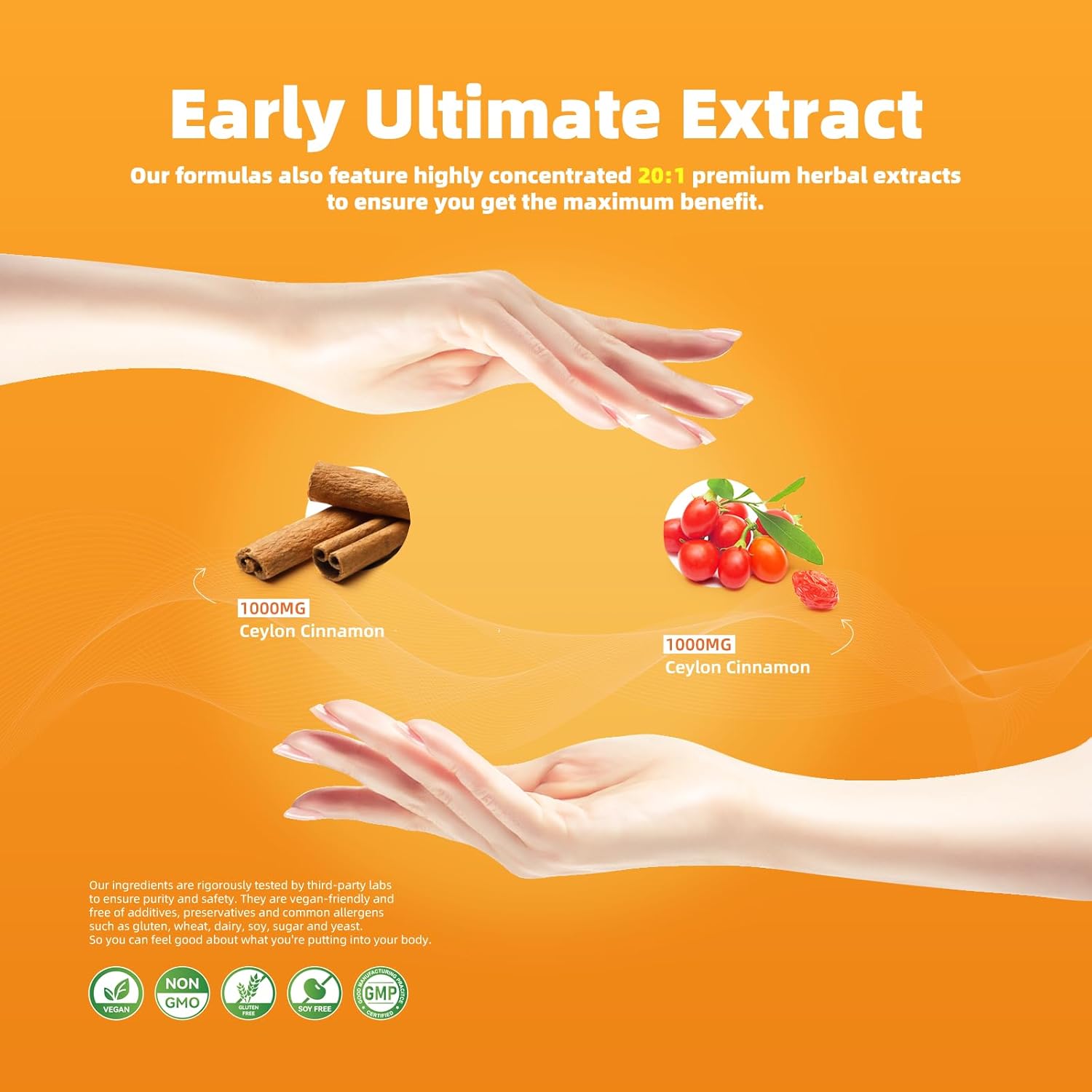 Berberine 1500mg Capsules with True Ceylon Cinnamon - 120 Count - Berberine HCI Root Supplement