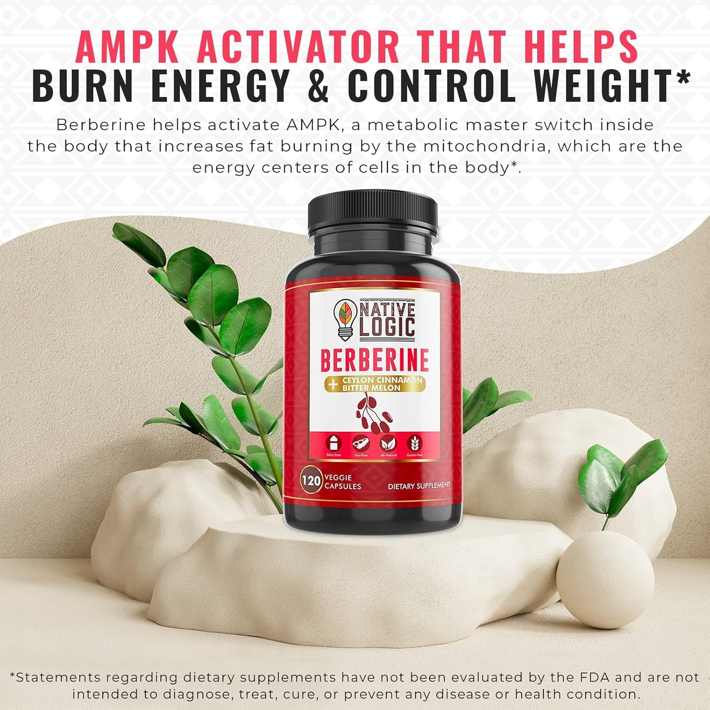 Berberine HCL 1200mg Capsules with Ceylon Cinnamon, Bitter Melon & Green Tea - Supports Cardiovascular, GI Health & Immune System (120 ct)