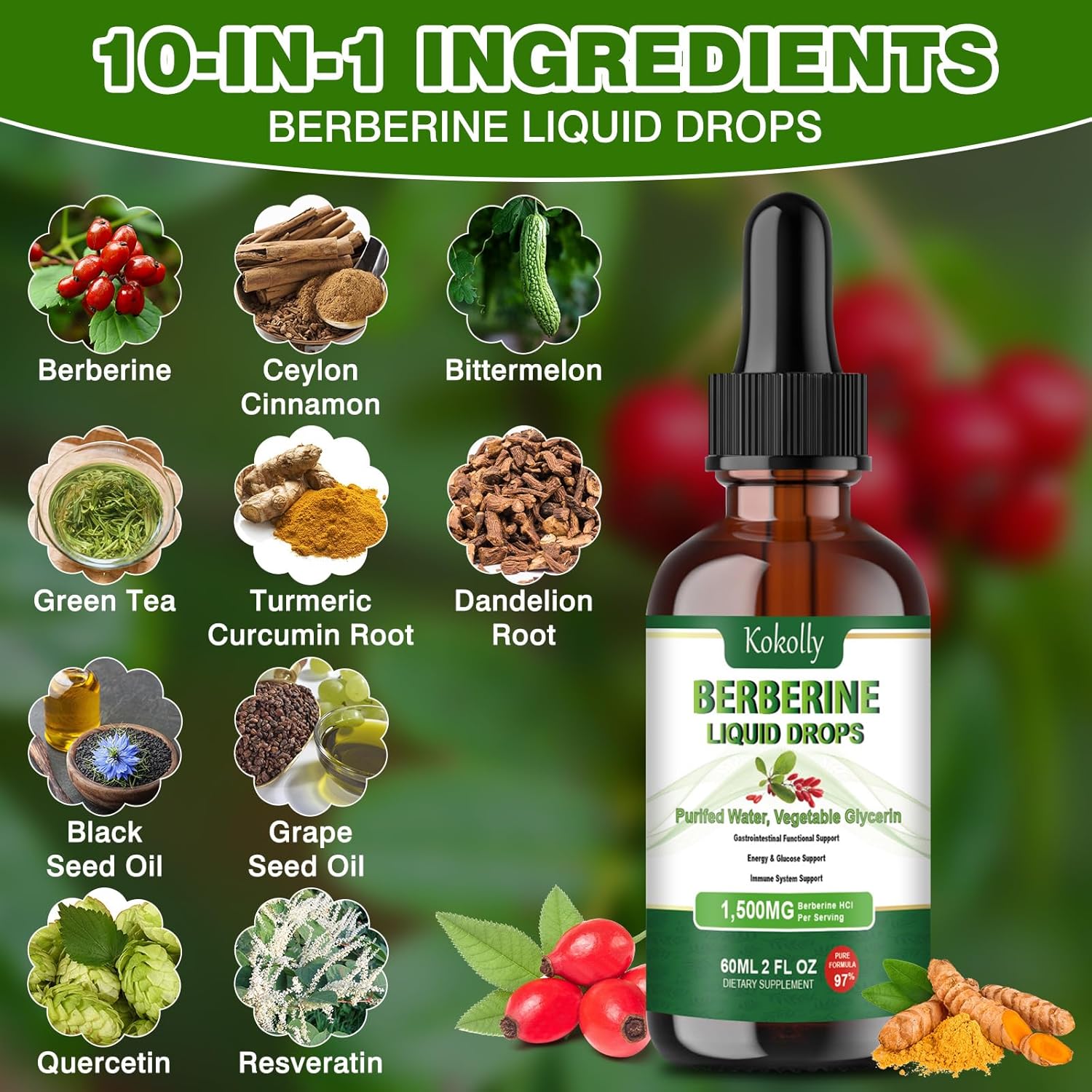 Berberine HCL Liquid Drops - 1500mg Supplement with Ceylon Cinnamon, Turmeric, Bitter Melon, Green Tea - Supports Metabolism, Immune System, Gut Health - 2 FL Oz - BoostGo Australia