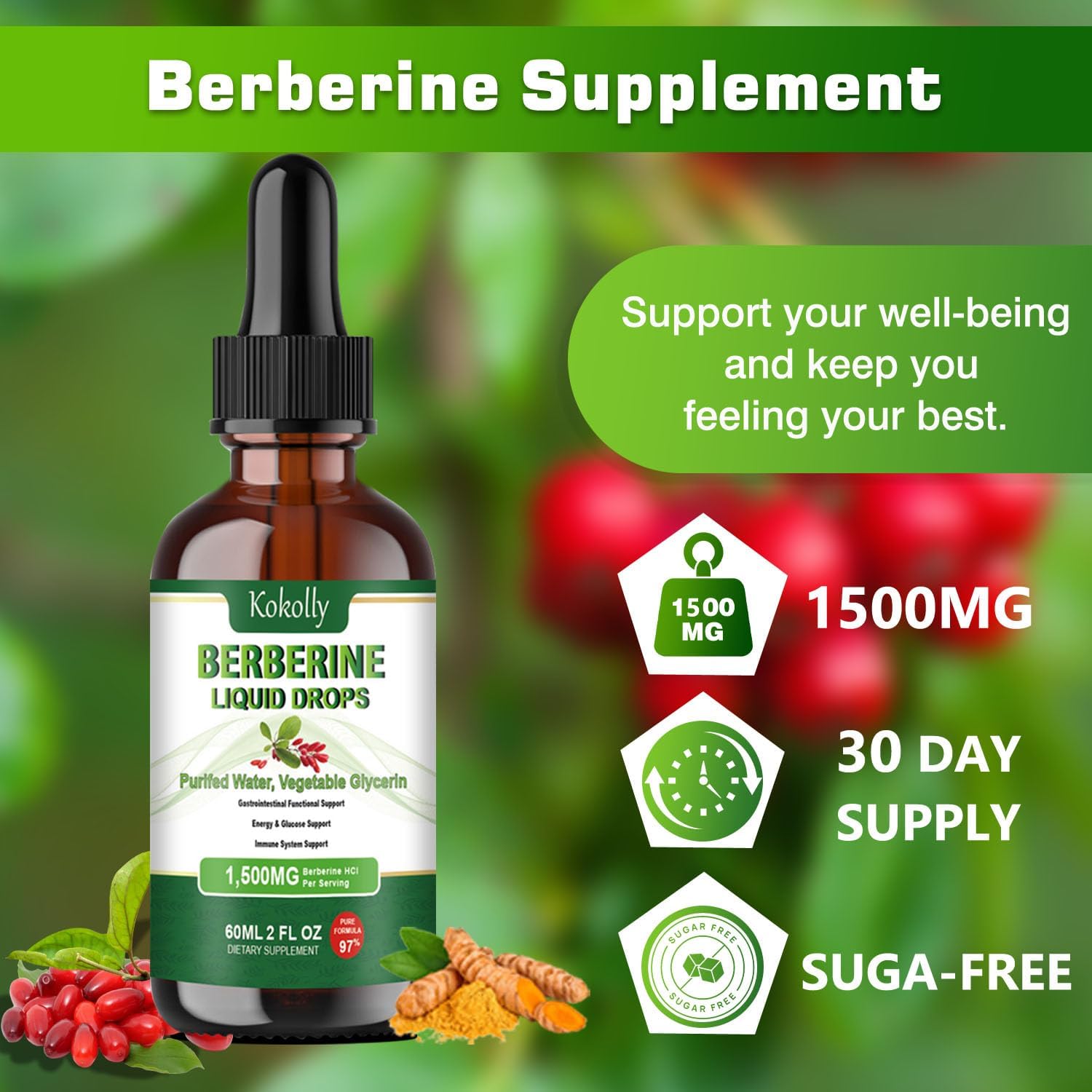 Berberine HCL Liquid Drops - 1500mg Supplement with Ceylon Cinnamon, Turmeric, Bitter Melon, Green Tea - Supports Metabolism, Immune System, Gut Health - 2 FL Oz - BoostGo Australia