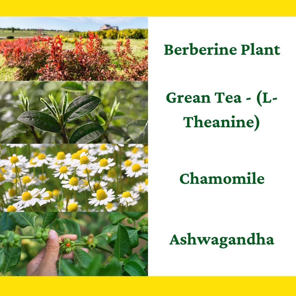 Berberine, L-Theanine, Chamomile, Ashwagandha Liquid Drops for Overall Well-Being - Natural Ingredients - 1 Fl Oz