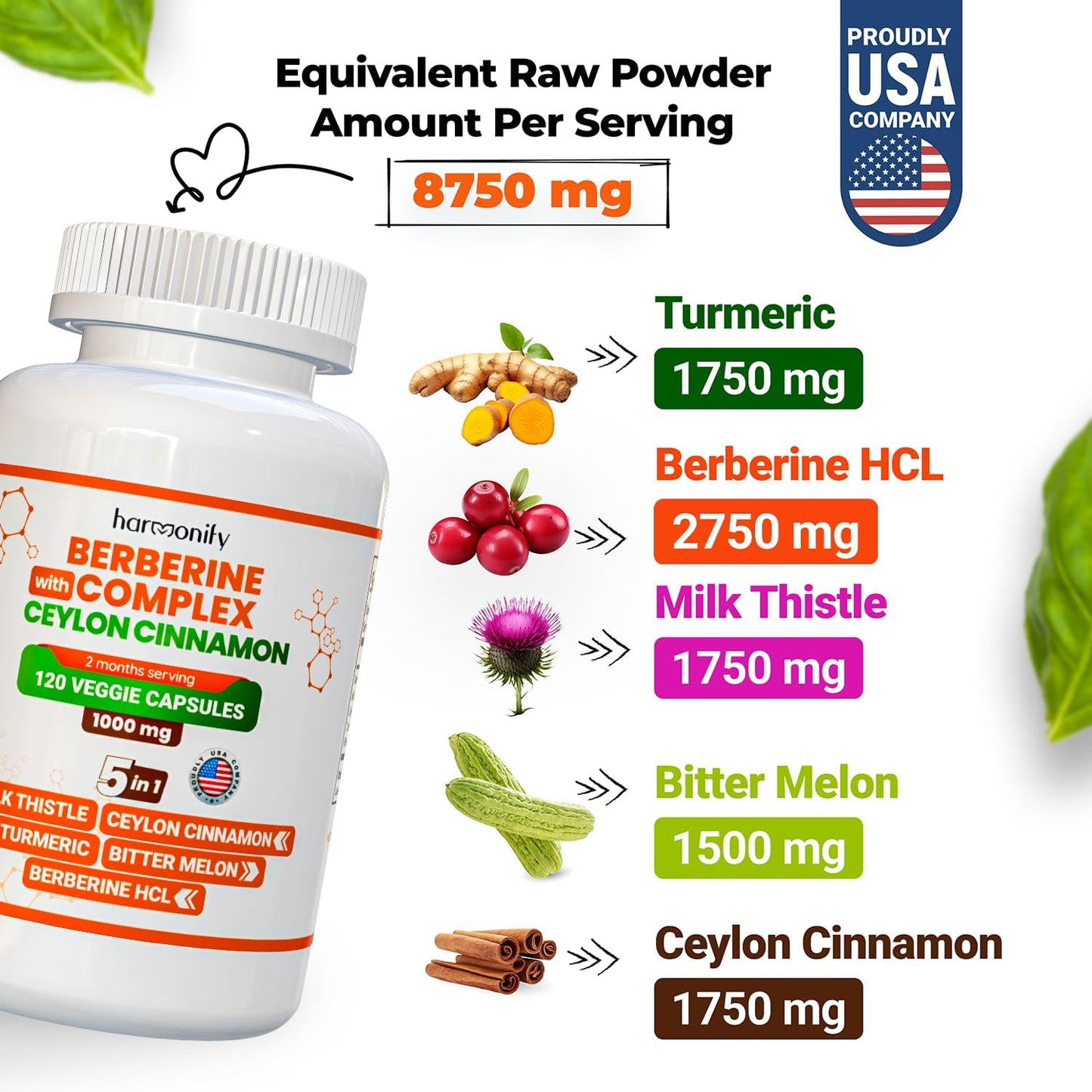 Berberine Supplement with Ceylon Cinnamon, Milk Thistle, Turmeric & Bitter Melon - Immune Support - 120 Capsules, 1000mg - Vegan & Non-GMO