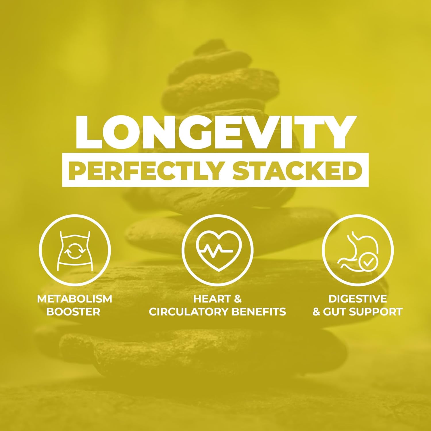 Berberine with Cinnamon Capsules for Healthy Metabolism | Non-GMO, Gluten-Free Supplement | 60 Capsules in Glass Bottle