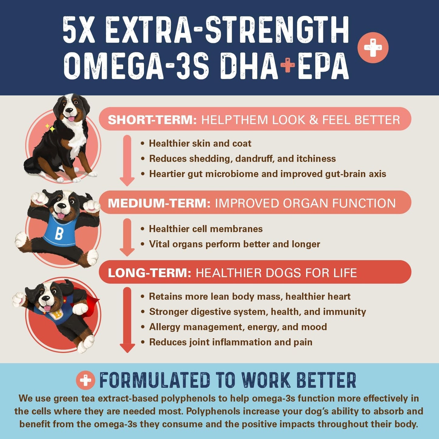 Bernie's OMG!!! Omegas 5X Extra Strength Fish Oil Chews for Dogs - Skin & Coat, Allergy Relief, Calming, Joint Support (Pork)