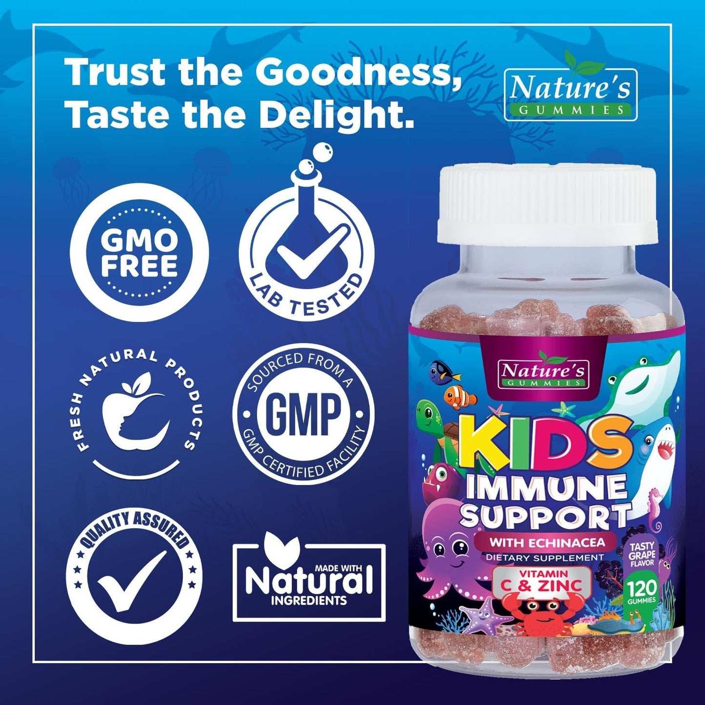 Berry Flavor Kids Immune Support Gummies with Echinacea, Zinc & Vitamin C - Non-GMO, Gluten-Free, Vegan Children's Vitamins - 120 Gummies