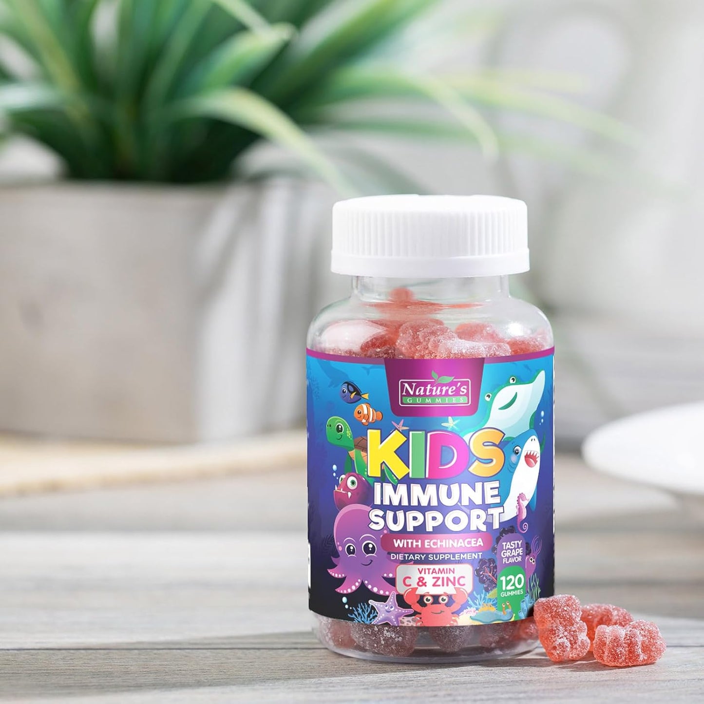 Berry Flavor Kids Immune Support Gummies with Echinacea, Zinc & Vitamin C - Non-GMO, Gluten-Free, Vegan Children's Vitamins - 120 Gummies