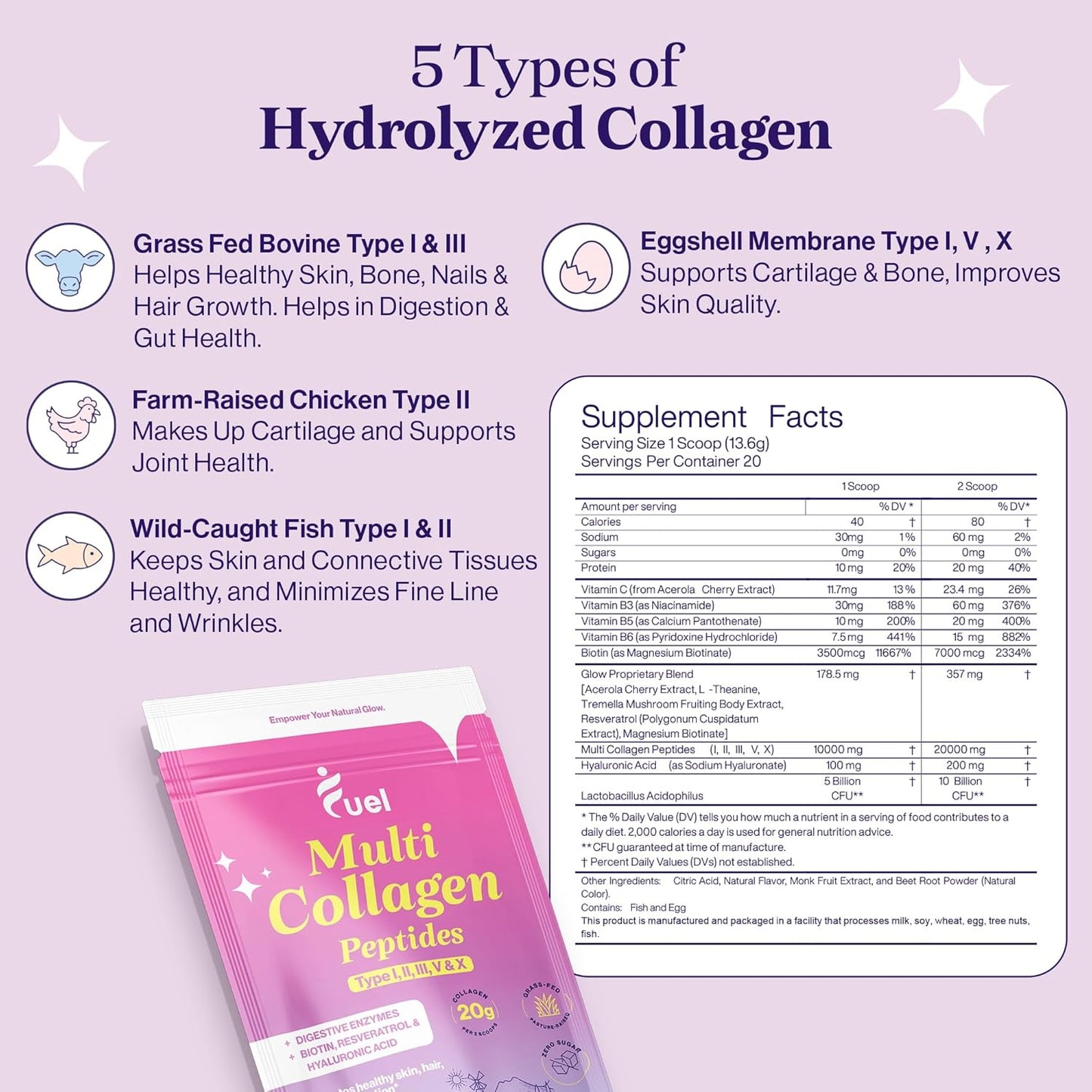 Best Seller Fuel Bundle: Mixed Berry, Peach Mango, Unflavored - Buy Now!