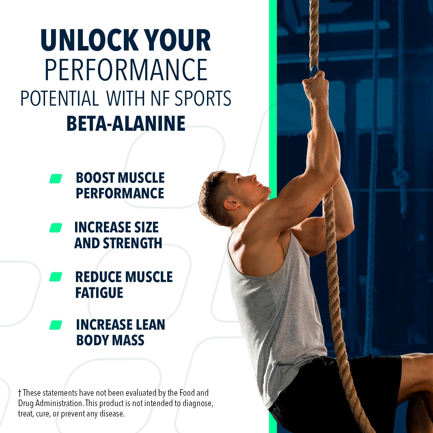 Beta Alanine Muscle Recovery Powder for Reduced Fatigue - 320g Dietary Supplement, Unflavored with No Artificial Sweeteners - Promotes Carnosine Levels in Muscles