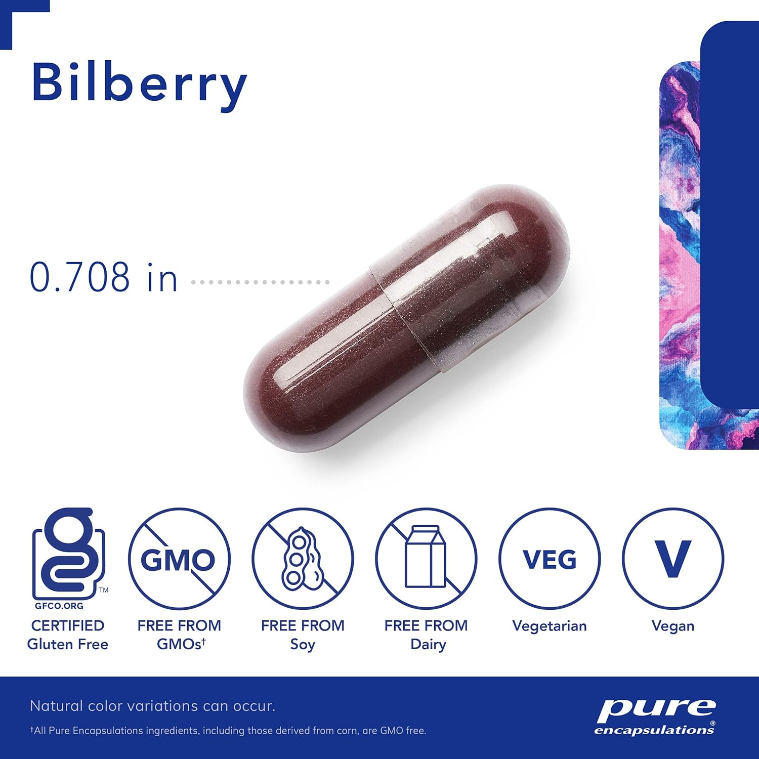 Bilberry 160 mg Capsules for Visual and Vascular System Support - 120 Count