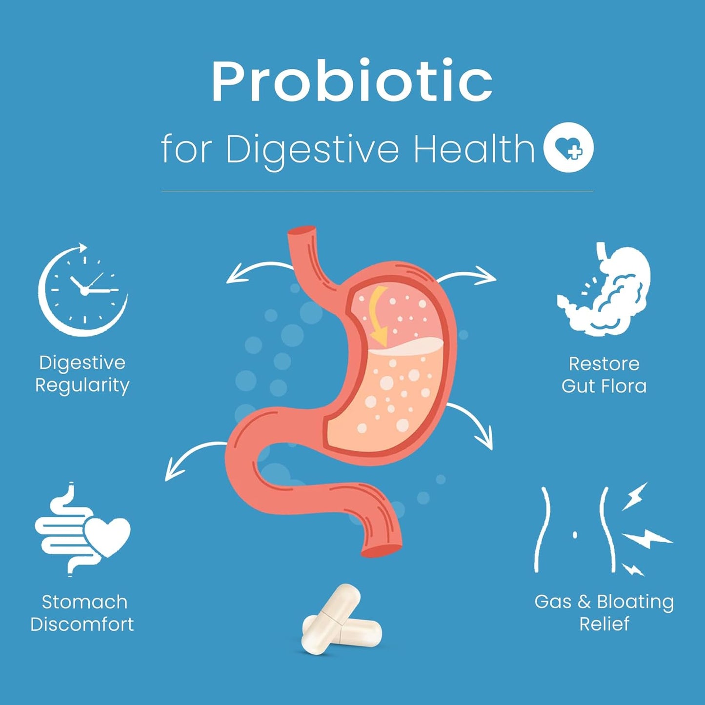 Bio360 Probiotic Supplement for Digestive & Immune Health - 60 Billion CFU, 15 Strains - Gut Health Support for Men & Women - 60 Capsules
