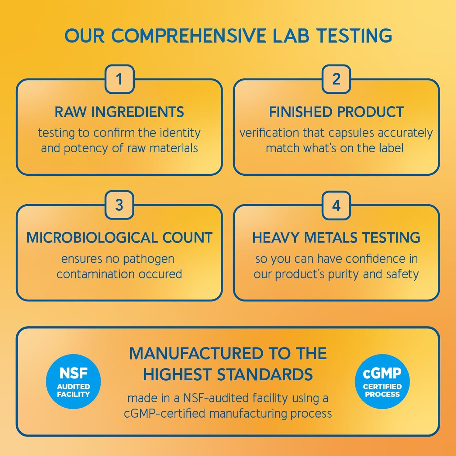 BioEmblem Vitamin B-Complex and Probiotics Supplement for Men and Women - Supports Energy, Immunity, and Digestive Health