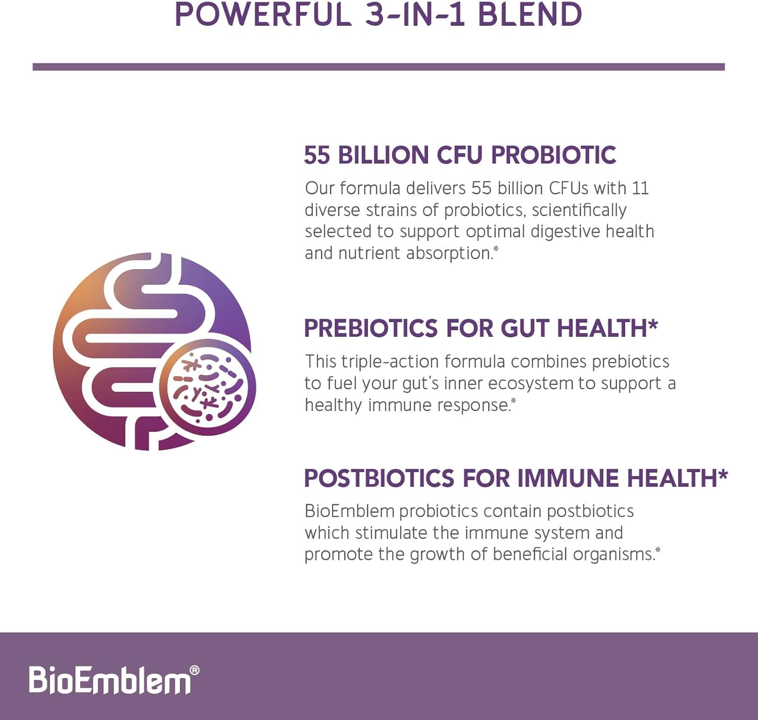BioEmblem Vitamin B-Complex and Probiotics Supplement for Men and Women - Supports Energy, Immunity, and Digestive Health