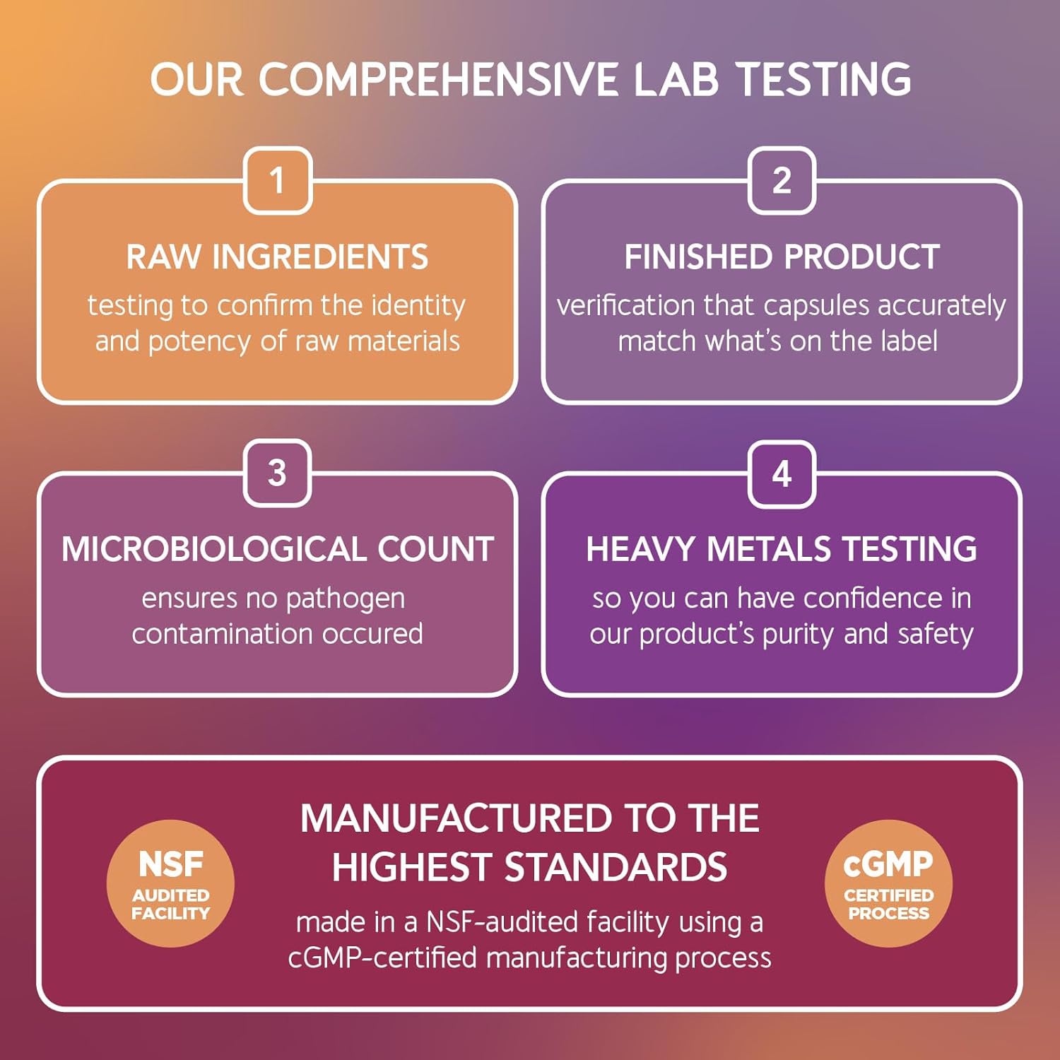 BioEmblem Vitamin B-Complex and Probiotics Supplement for Men and Women - Supports Energy, Immunity, and Digestive Health