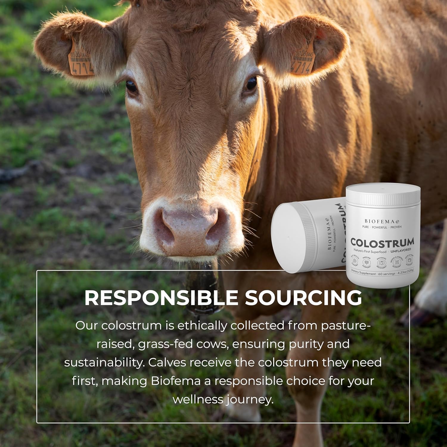 BIOFEMA Colostrum Powder: Superfood for Gut Health, Immune Support, Recovery, Skin, Hair & Nails