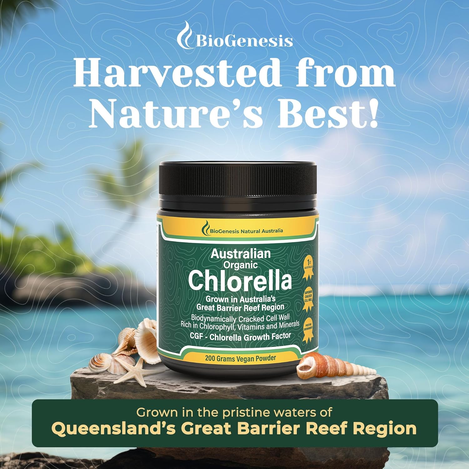 Biogenesis Organic Chlorella Powder from Australia - Advanced BioDynamic Cracked Cell Wall with Chlorophyll, Vitamins, Minerals, and CGF for Good Health and Wellbeing