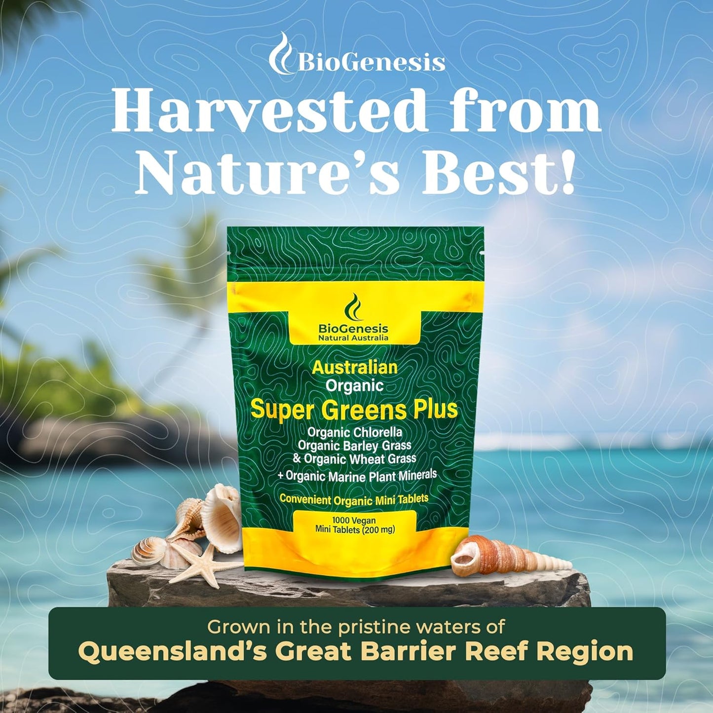 Biogenesis Organic SuperGreens Tablets with Chlorella, Barley Grass, Wheat Grass, Marine Plant Minerals - 1000 Count - Made in Australia