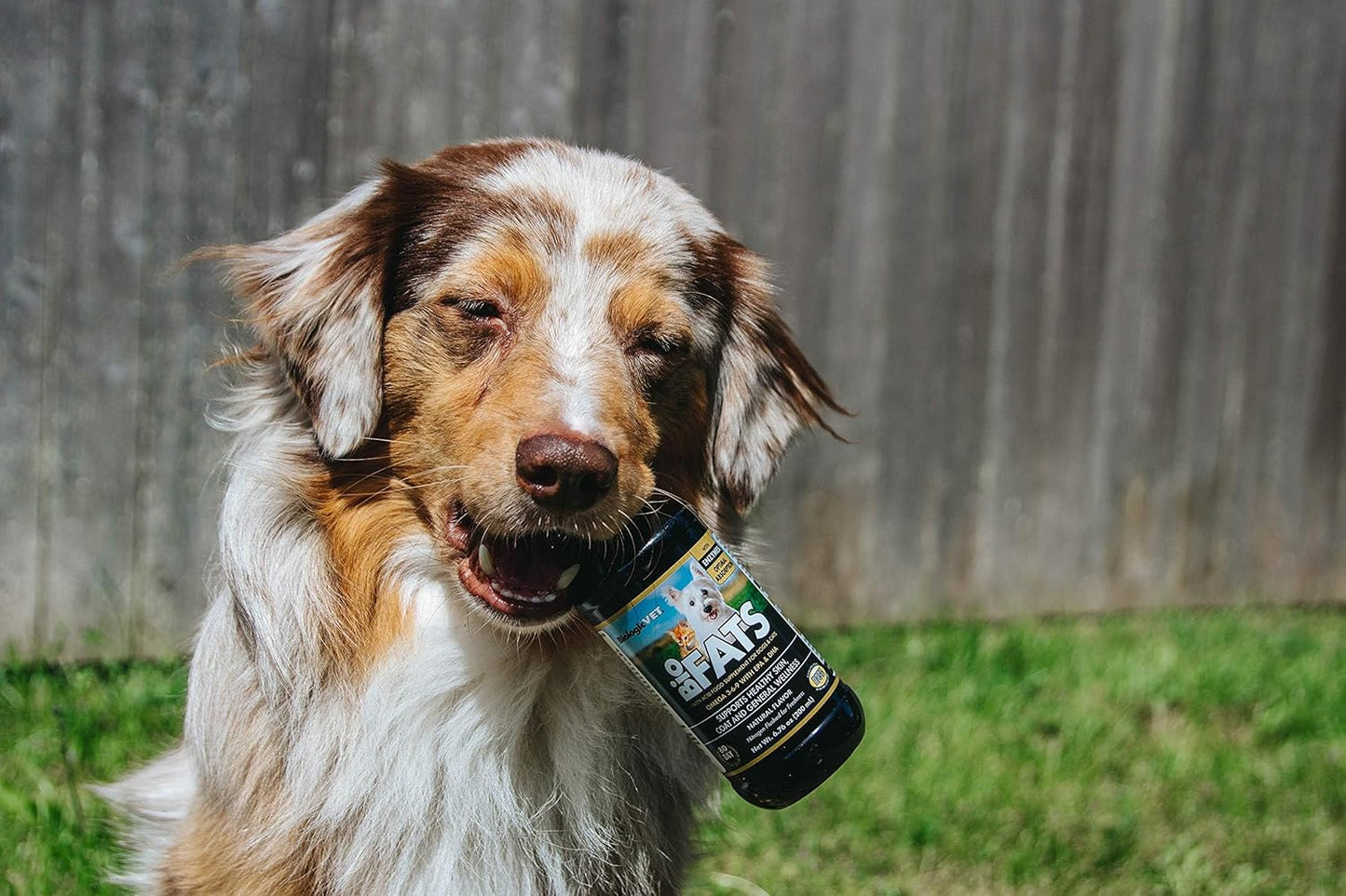 BiologicVET BioFATS Omega 3-6-9 Fatty Acids with EPA & DHA, Promotes Healthy Skin and Coat, 94-Day Supply for 30-lb. Pets, 12 oz. Bottle