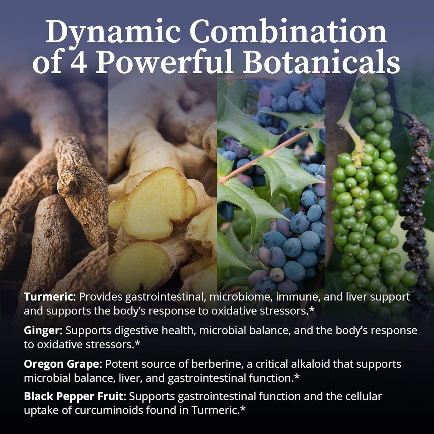 BioPure CurcuSyn Capsules - Turmeric, Ginger, Black Pepper & Grape Curcumin Supplement for Microbiome, GI, Immune System, Liver Health & Wellness