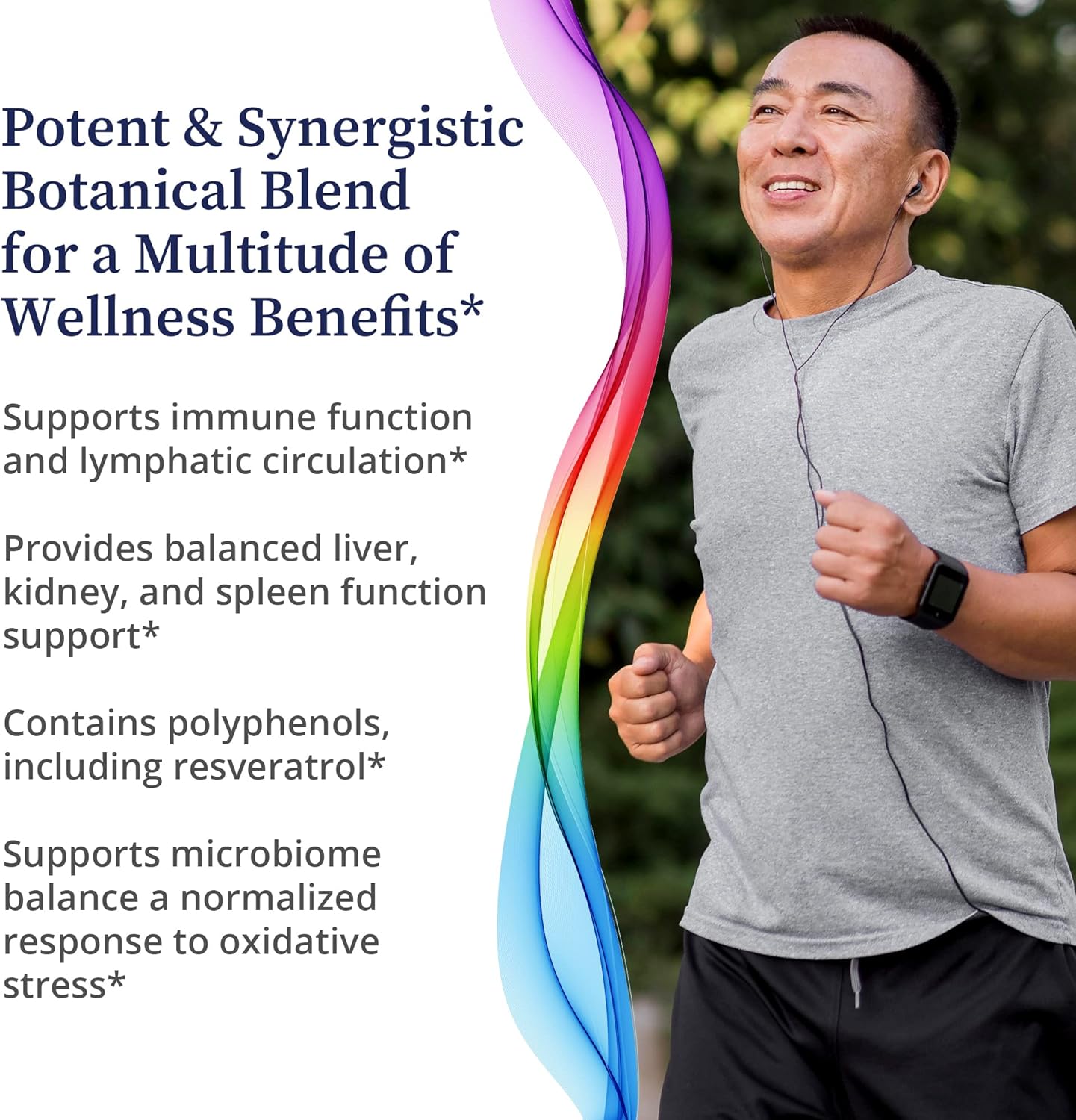 BioPure Quintessence Herbal Tincture - Immune & Lymphatic Support with Astragalus & Japanese Knotweed - 4 fl oz