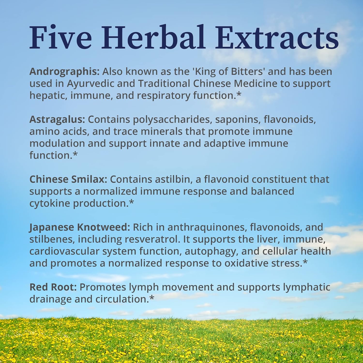 BioPure Quintessence Herbal Tincture - Immune & Lymphatic Support with Astragalus & Japanese Knotweed - 4 fl oz