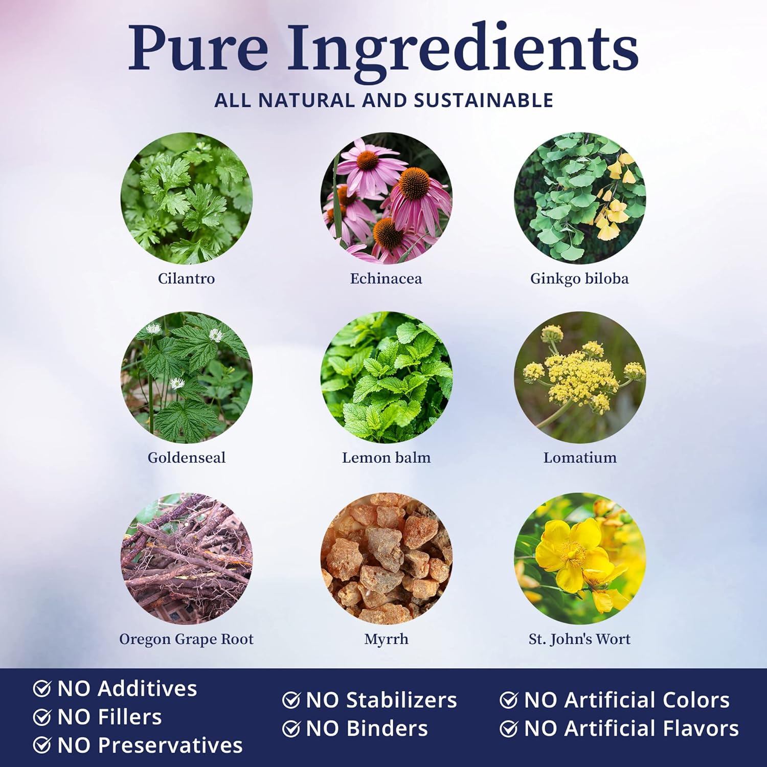 BioPure Viressence Herbal Tincture - Synergistic Blend of 9 Botanical Extracts for Immune Support & Overall Wellness - 4 fl oz