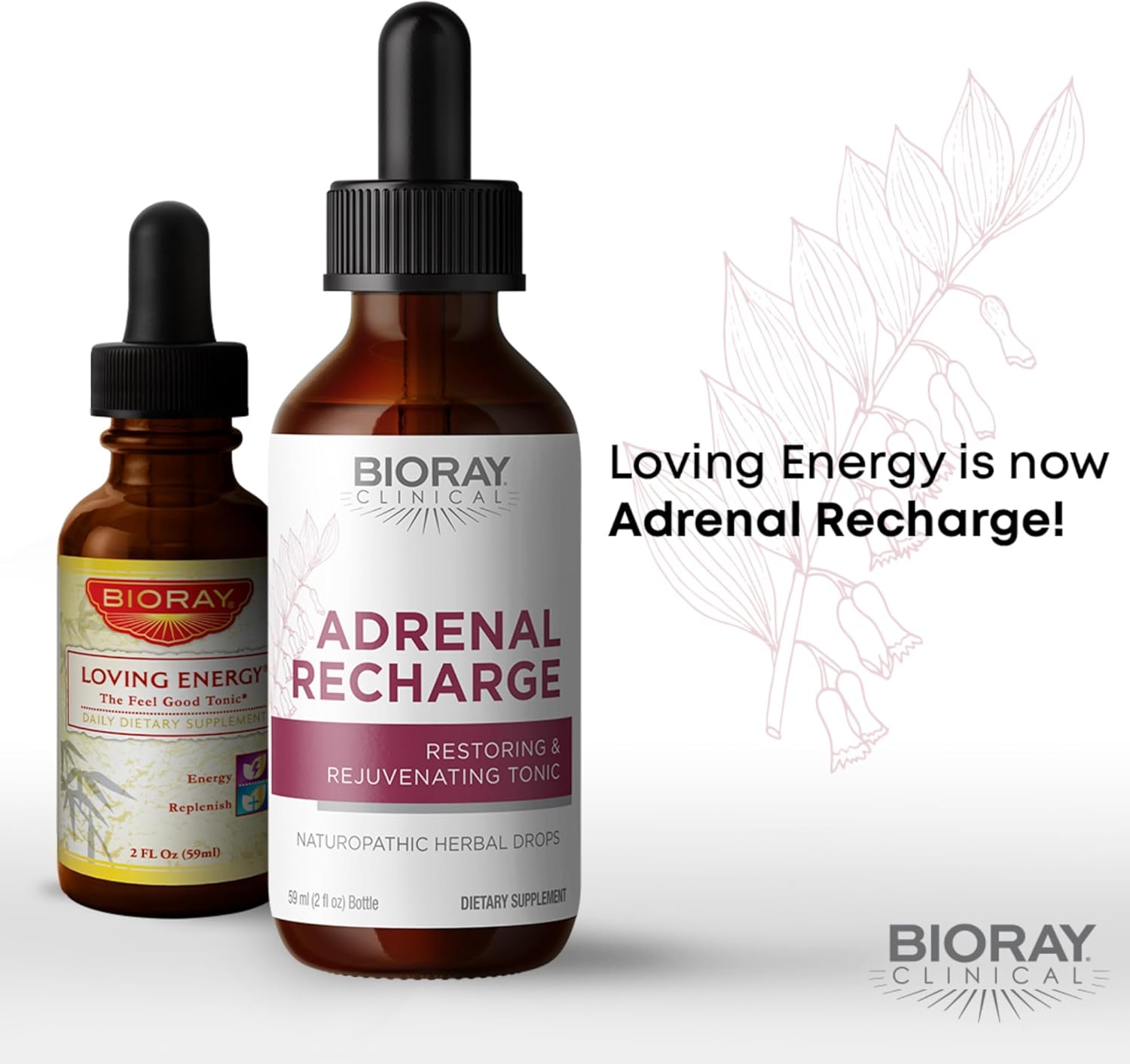 BIORAY Clinical Adrenal Recharge Tincture - 2 fl oz - Restores & Revitalizes - Non-GMO, Vegan, Gluten Free