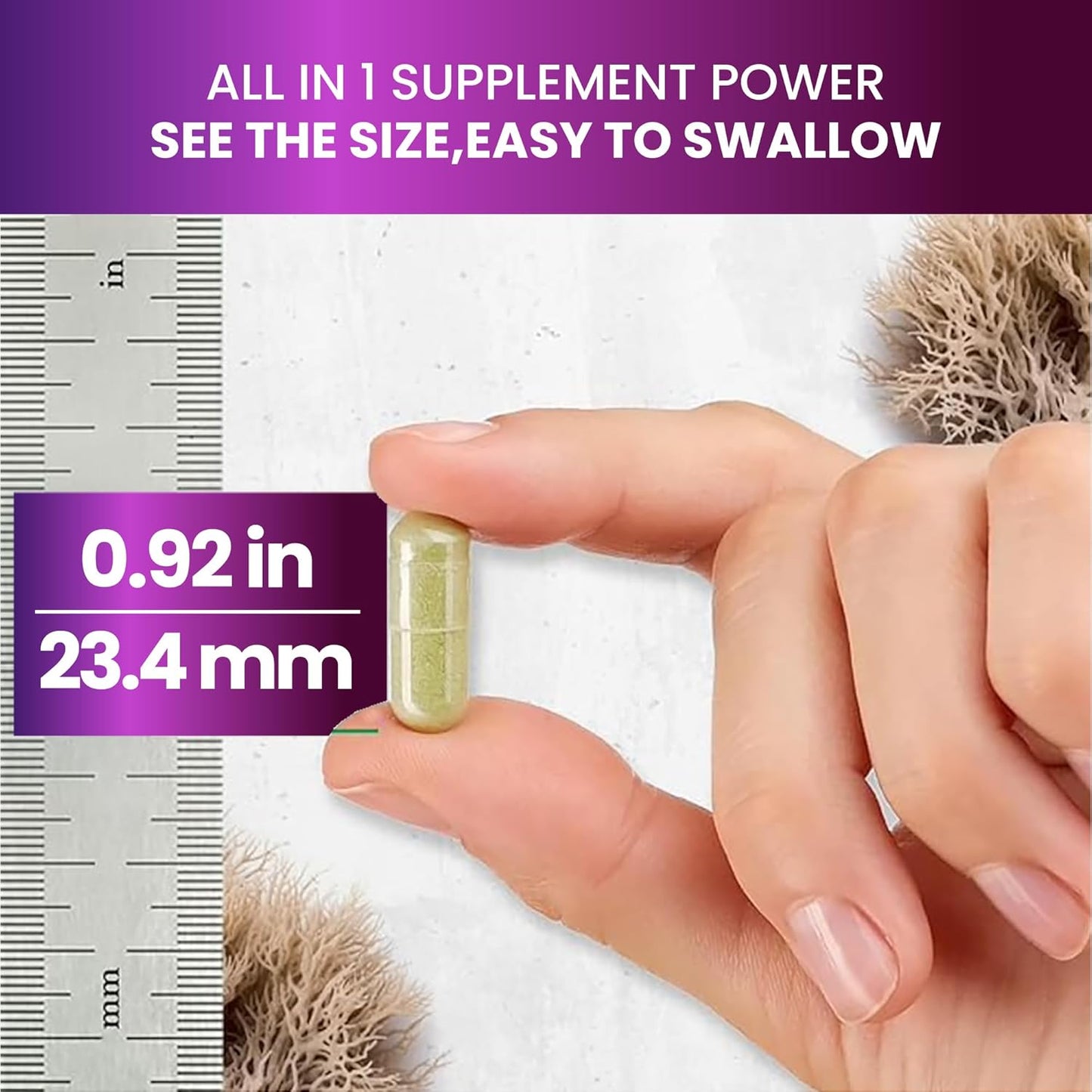 Biotics Sea Moss, Black Seed Oil, Turmeric, Ashwagandha Capsules with Moringa, Black Pepper, Vitamins - 60ct