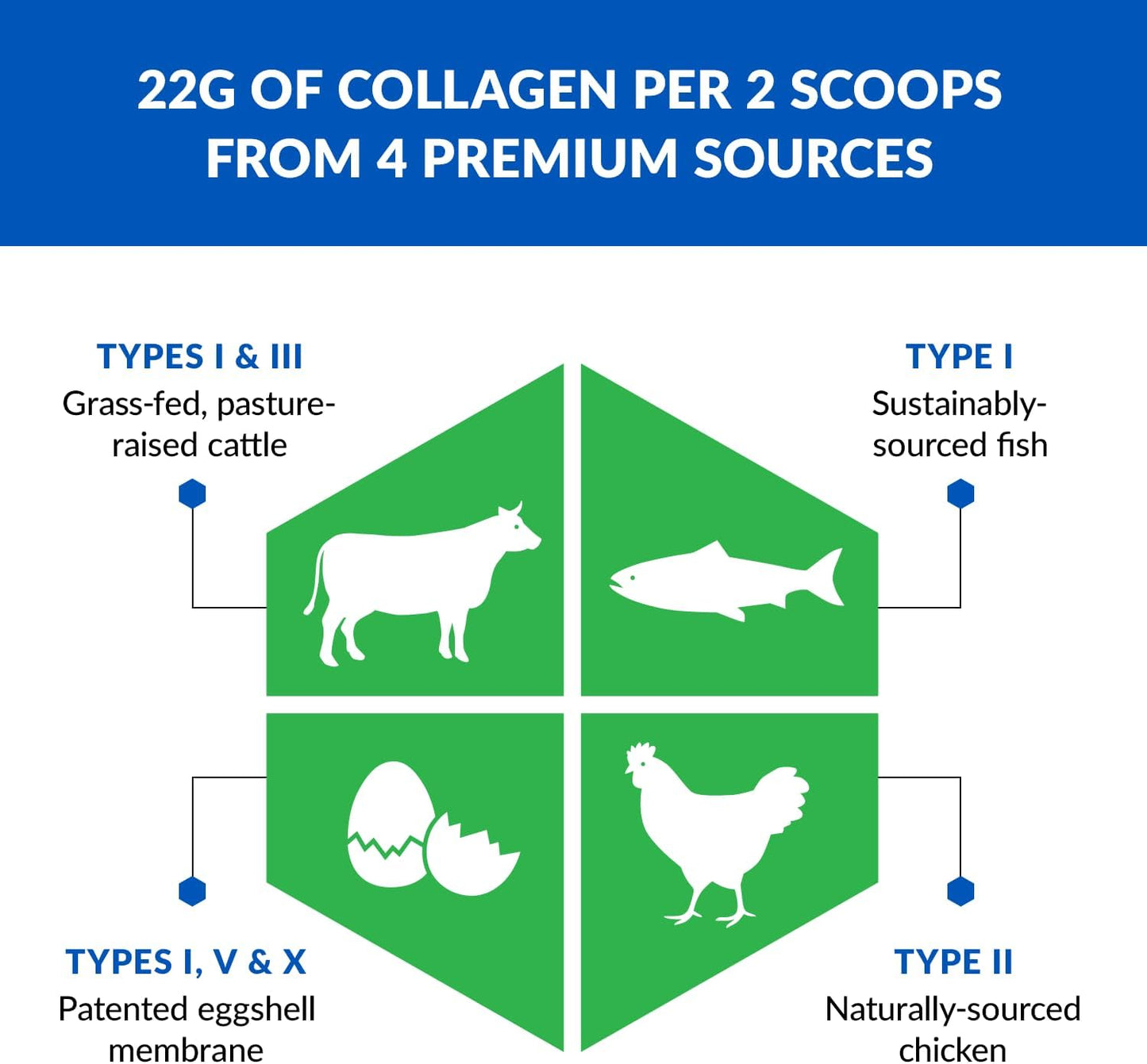 BioTrust Ageless Multi Collagen Protein Powder - 5 Collagen Types for Hair, Skin, Nails & Joints - Grass Fed Beef, Sustainable Fish, Chicken & Eggshell Membrane - Unflavored, 2 Pack