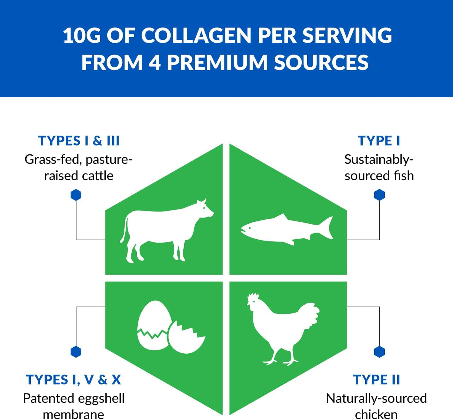 BioTrust Collagen Powder with Turmeric - 5 Types for Women & Men - Hydrolyzed Protein from Grass-Fed Sources - Golden Milk Formula