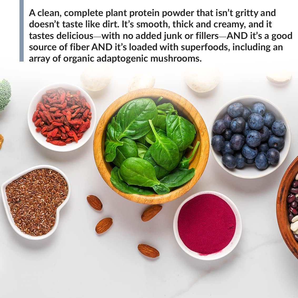 BioTrust Low Carb Plant Protein Shake - Vanilla Caramel Flavor, 20g Protein, 5g Fiber, 15 Superfoods, Vegan & Dairy-Free - 14 Servings