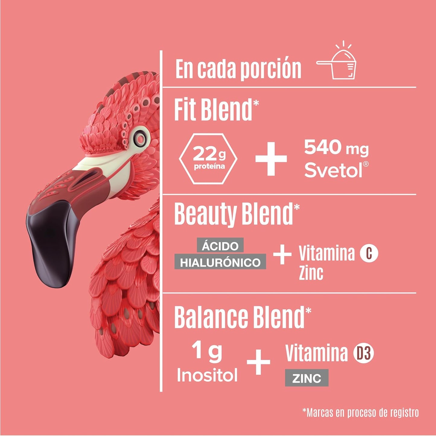 Birdman Fitmingo Vegan Protein Powder with Inositol, Collagen Boosters, and Vitamins - Plant Based Mocha Protein Powder with Myo-Inositol - Low Carb, Dairy Free, Low Calorie