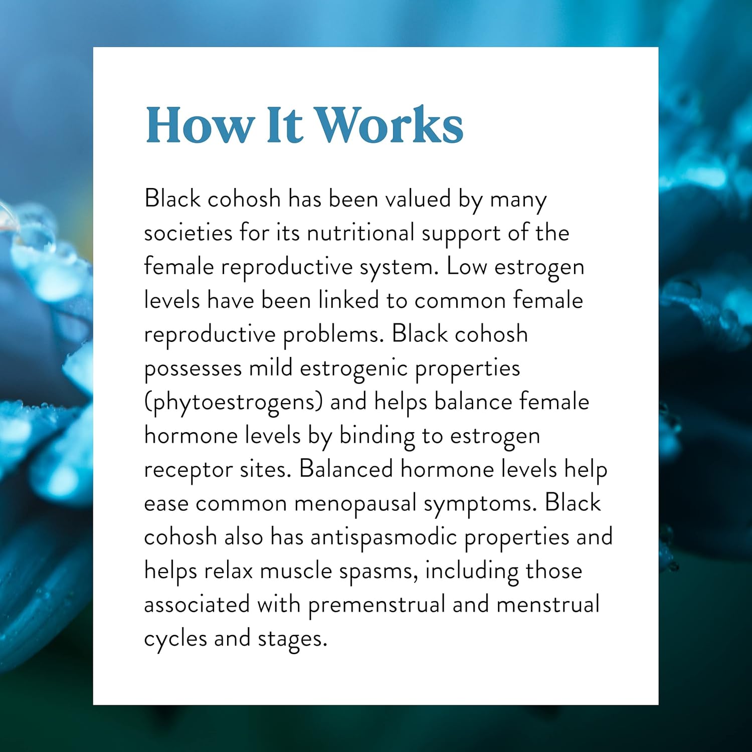 Black Cohosh Capsules - Supports Female Glandular System, Promotes Reproductive Health & Balanced Hormones - 100 Capsules