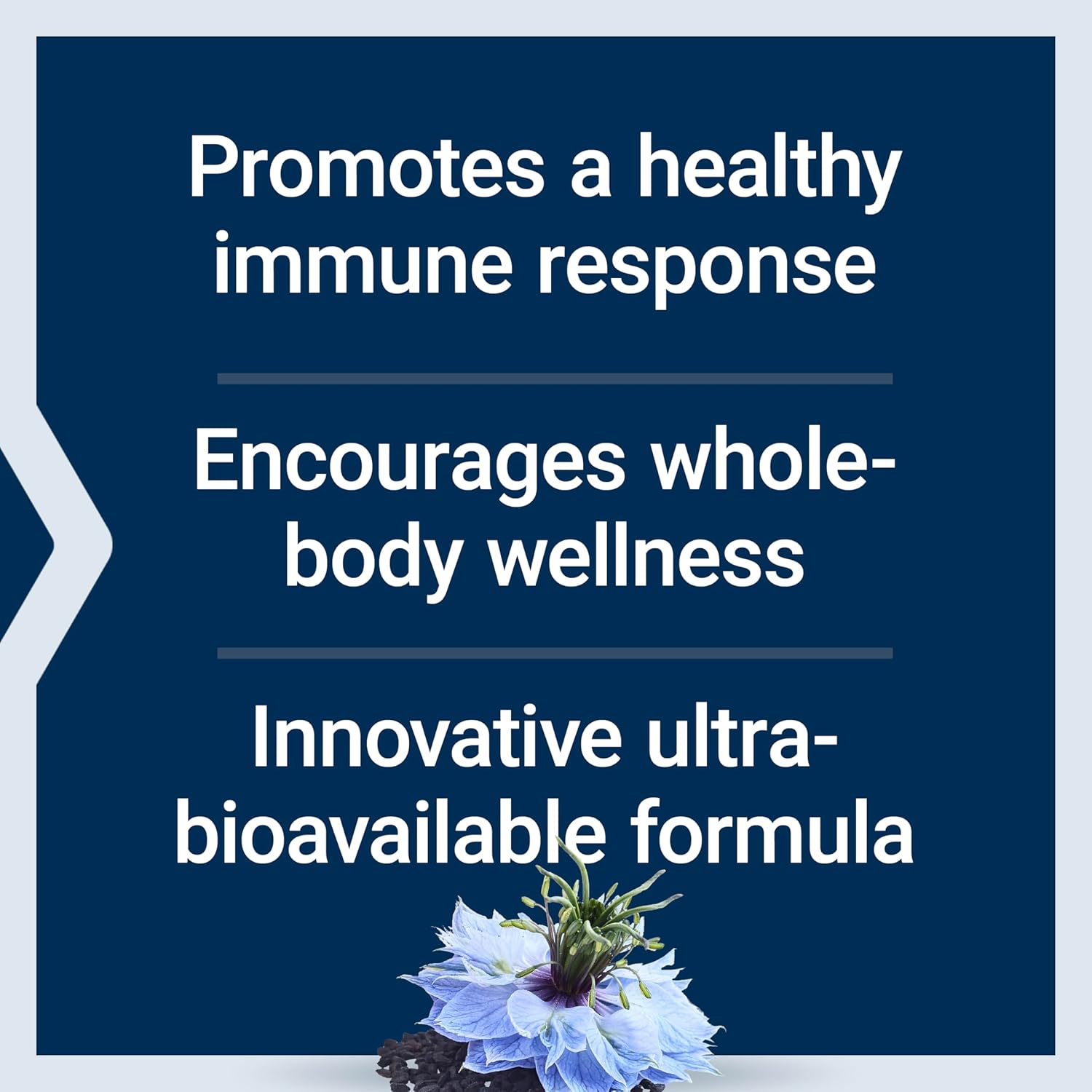 Black Cumin Seed Oil and Curcumin Elite Softgels for Immune Support - Non-GMO and Gluten-Free Formula with Bioavailable Curcumin Turmeric Extract - 60 Count